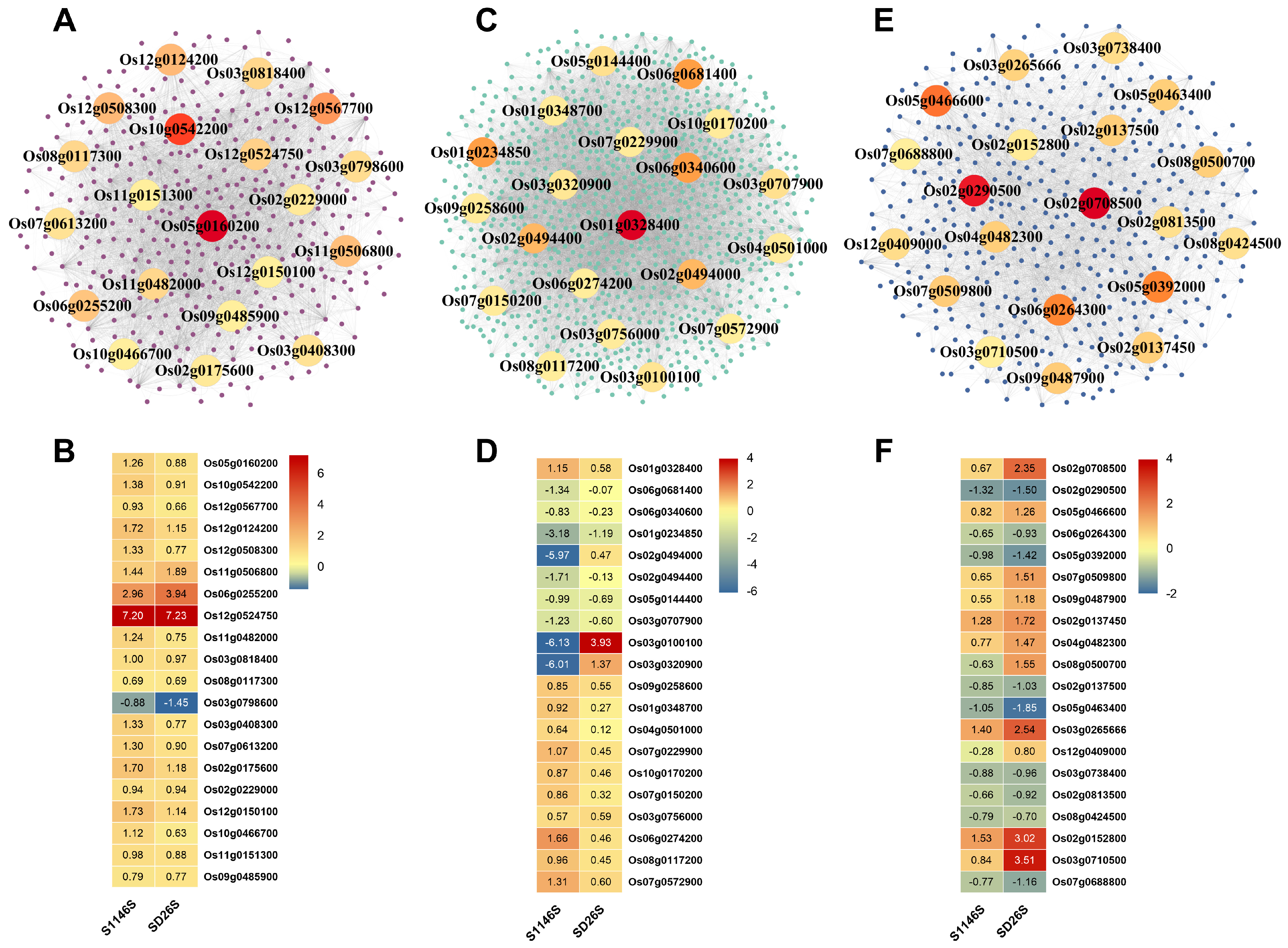 Plants 13 00945 g005
