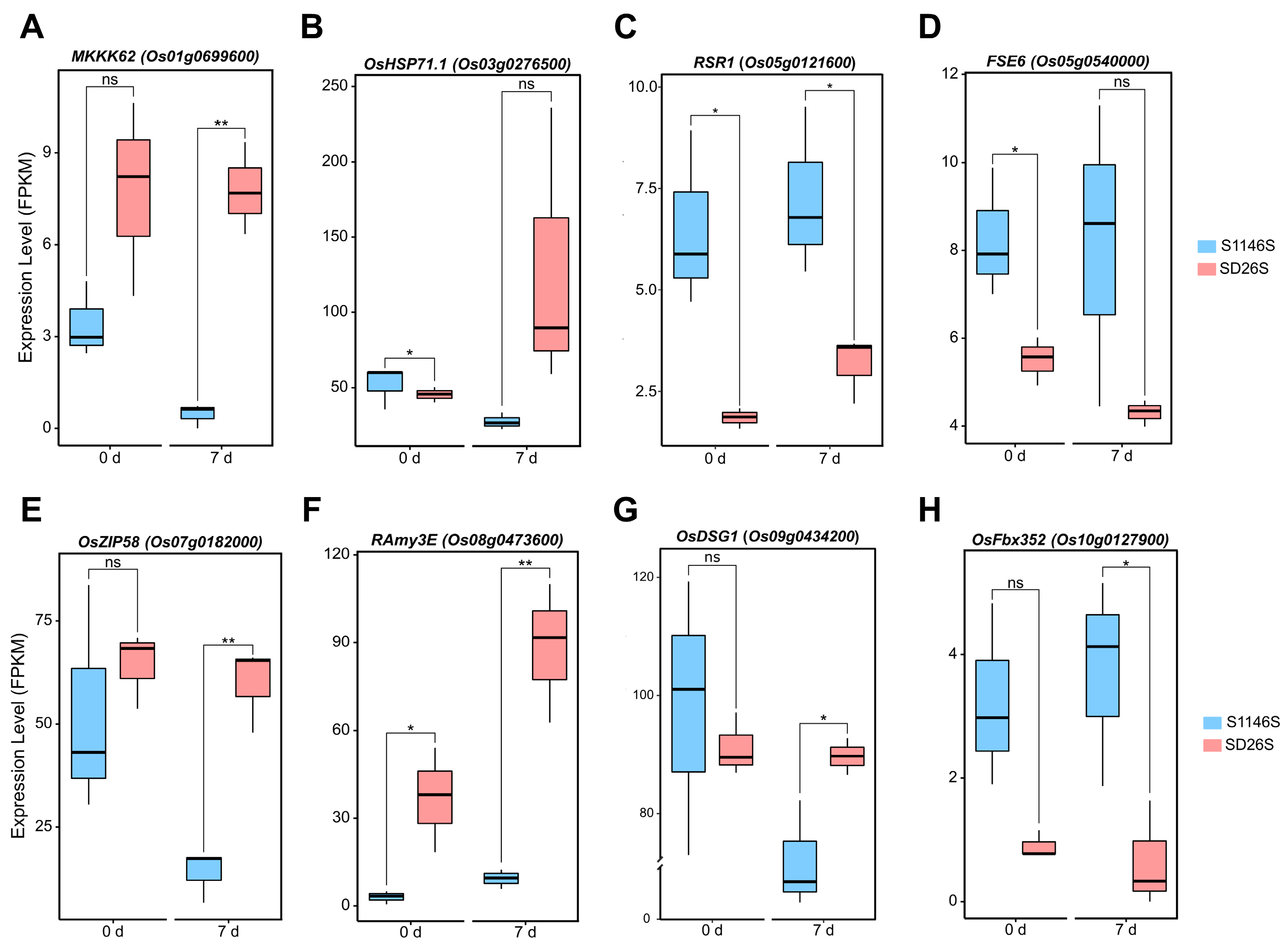 Plants 13 00945 g006