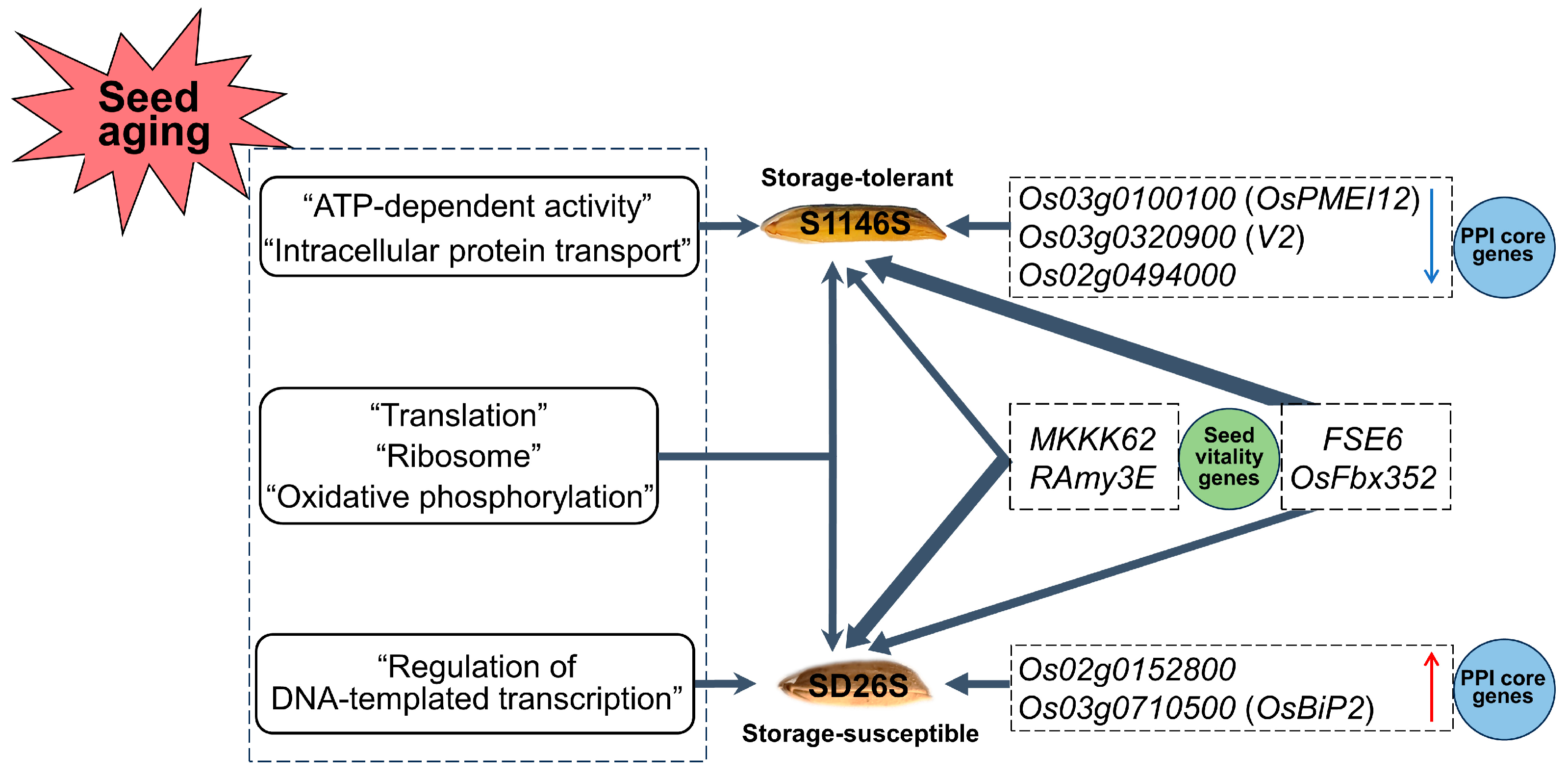 Plants 13 00945 g007