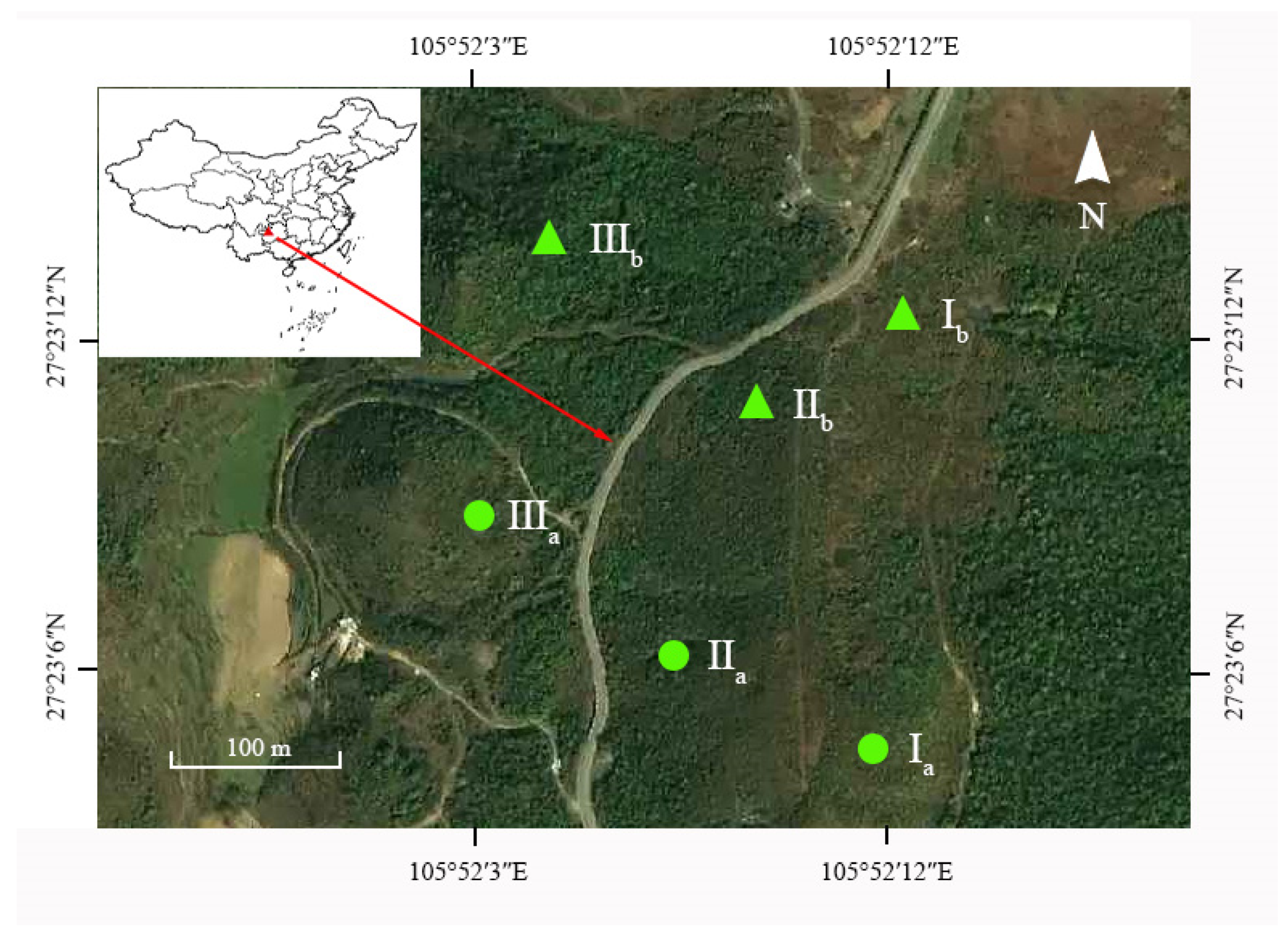 Plants 13 00946 g005