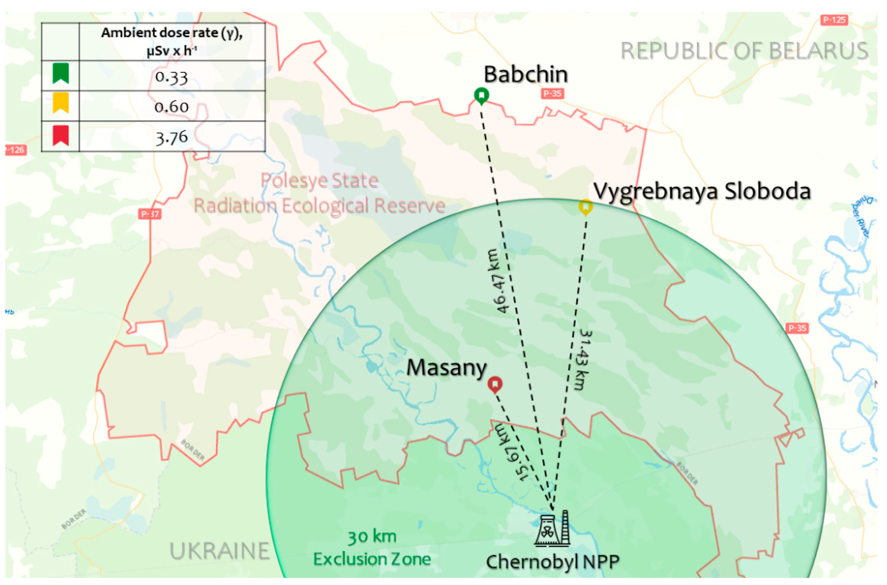 Plants 13 00947 g001