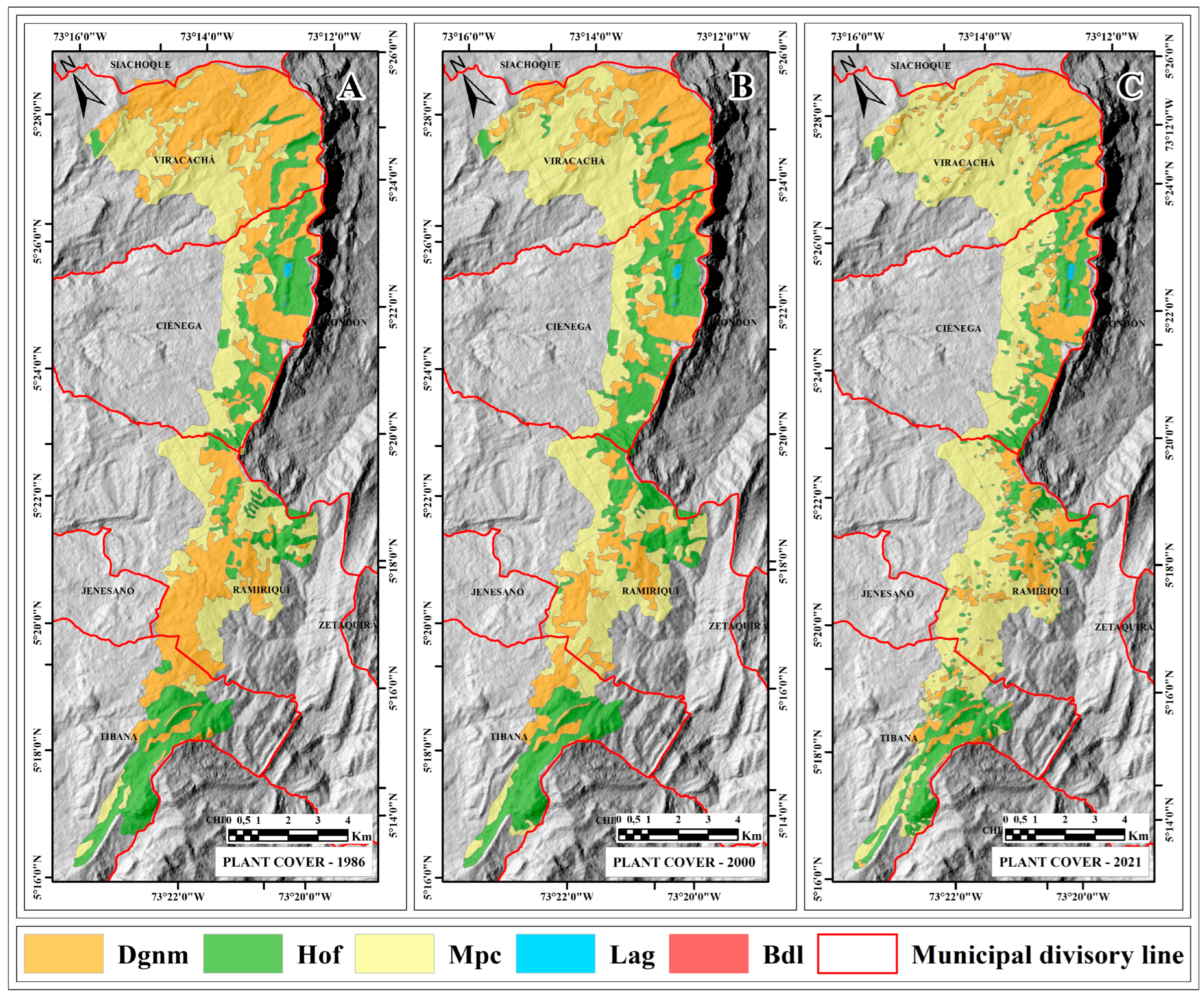 Plants 13 00948 g001