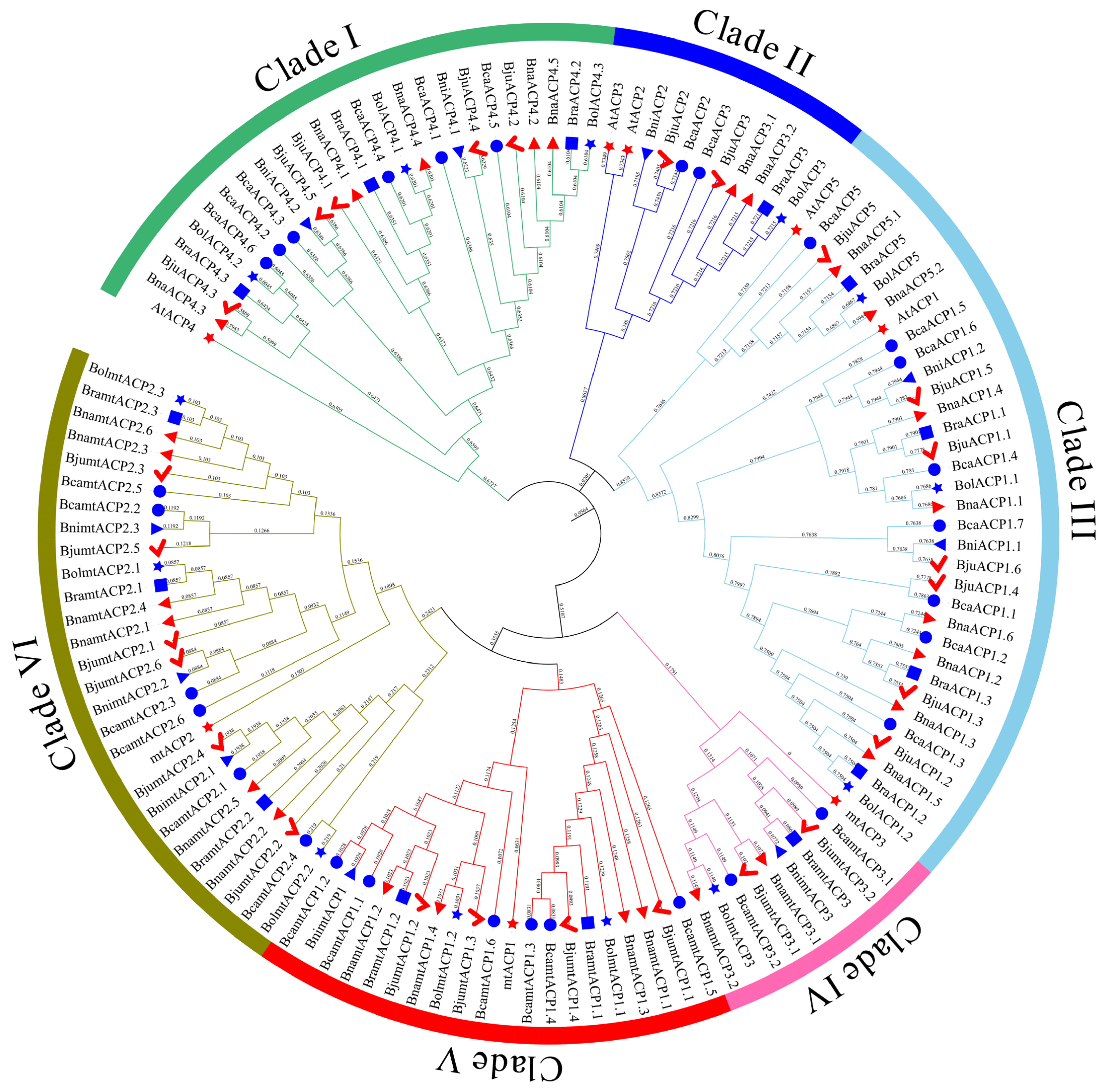 Plants 13 00950 g002 Plants 13 00950 g002
