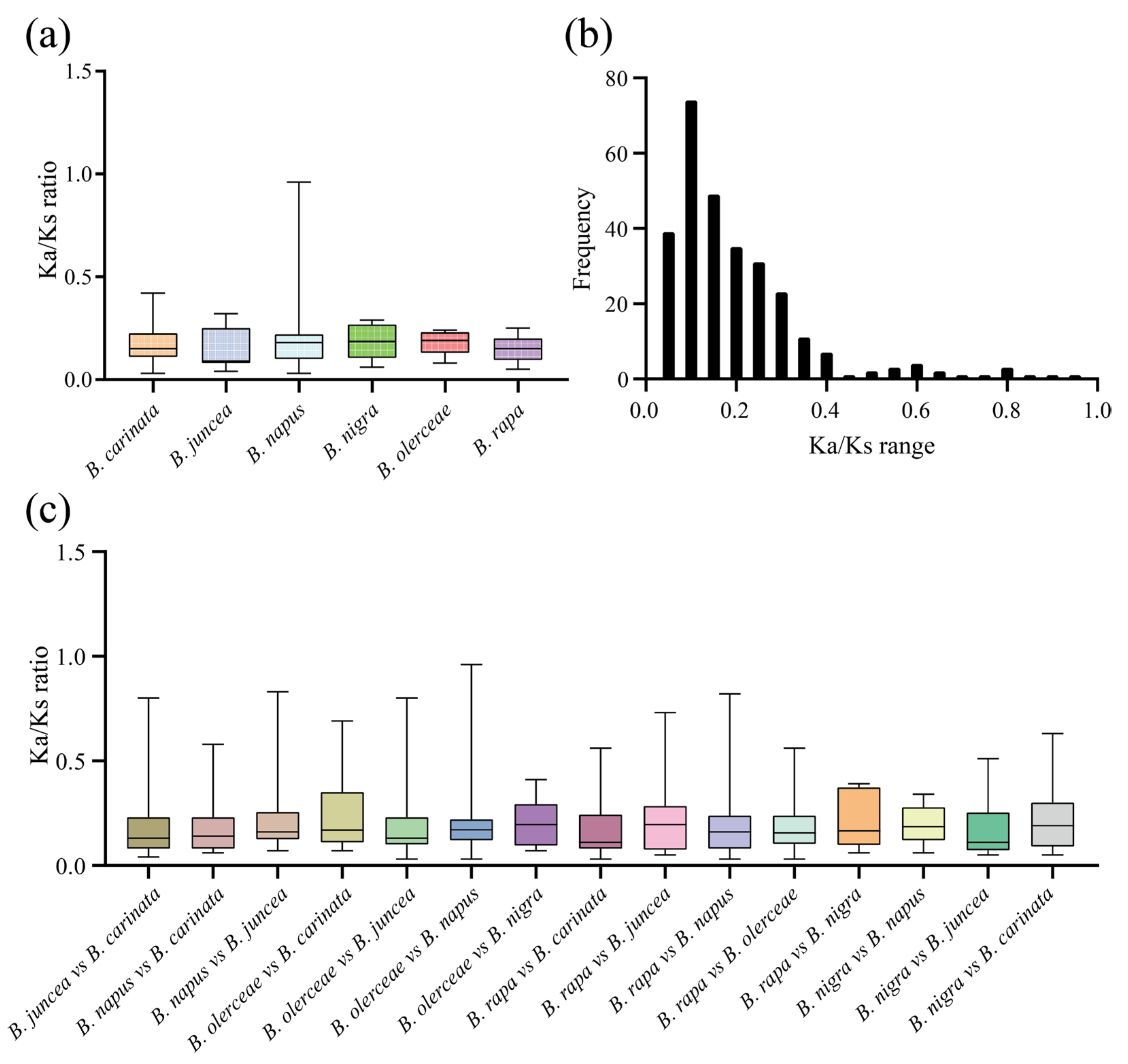 Plants 13 00950 g007 Plants 13 00950 g007