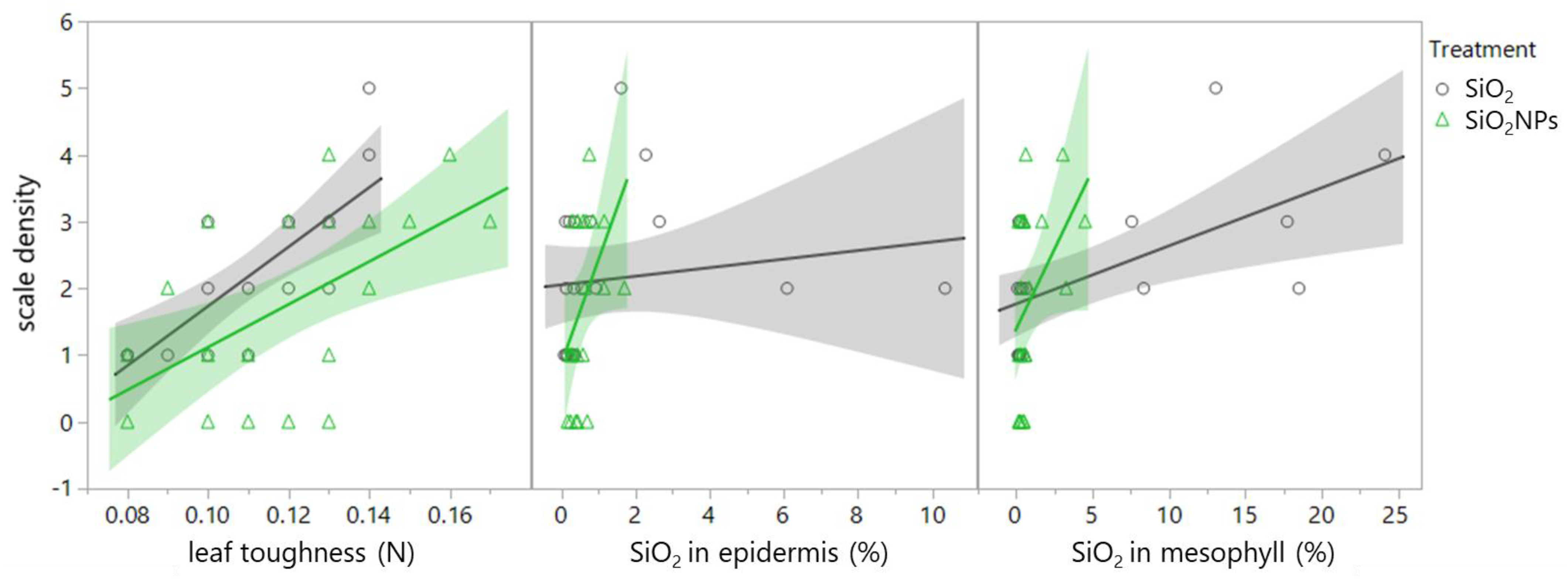 Plants 13 00952 g007