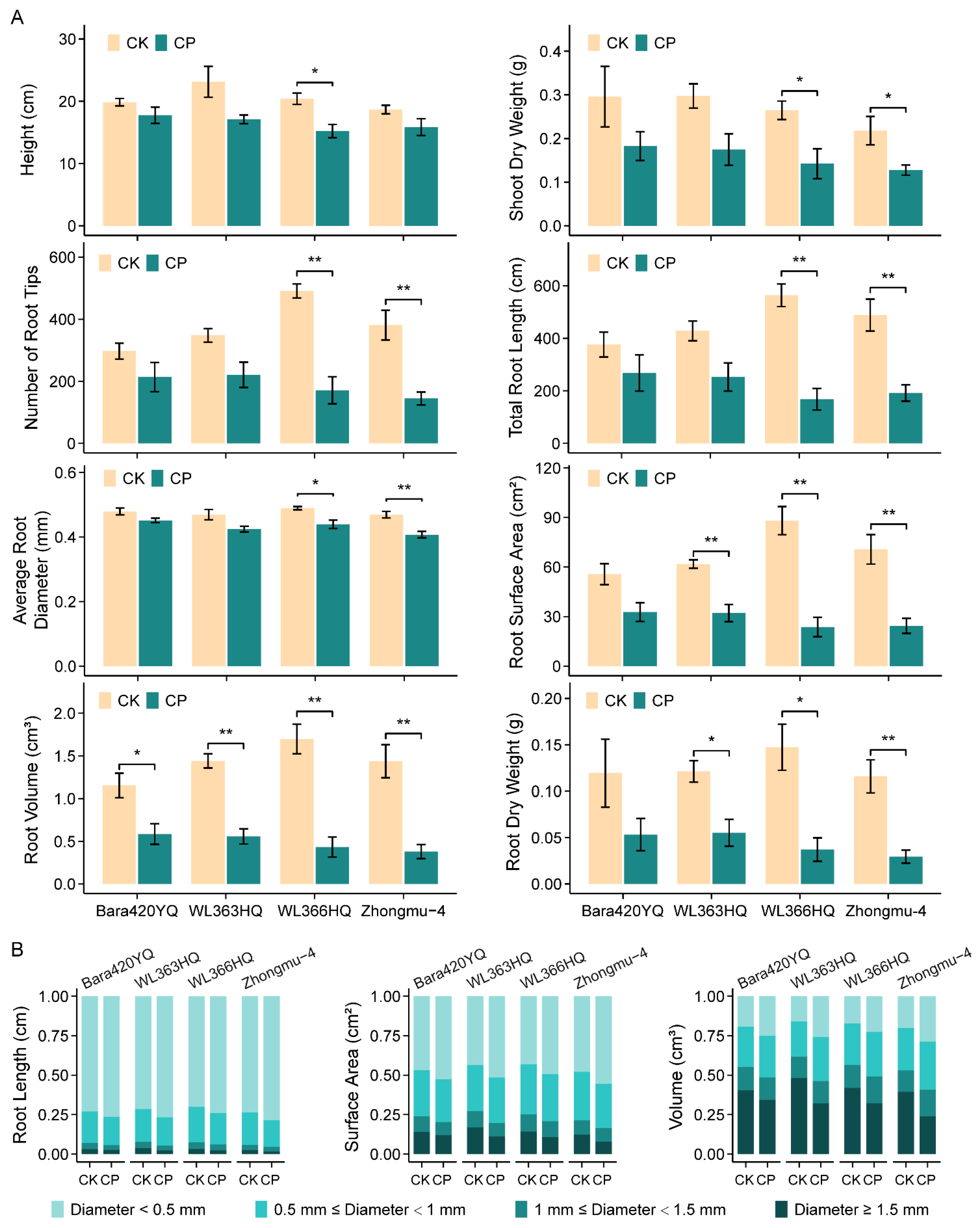 Plants 13 00953 g002