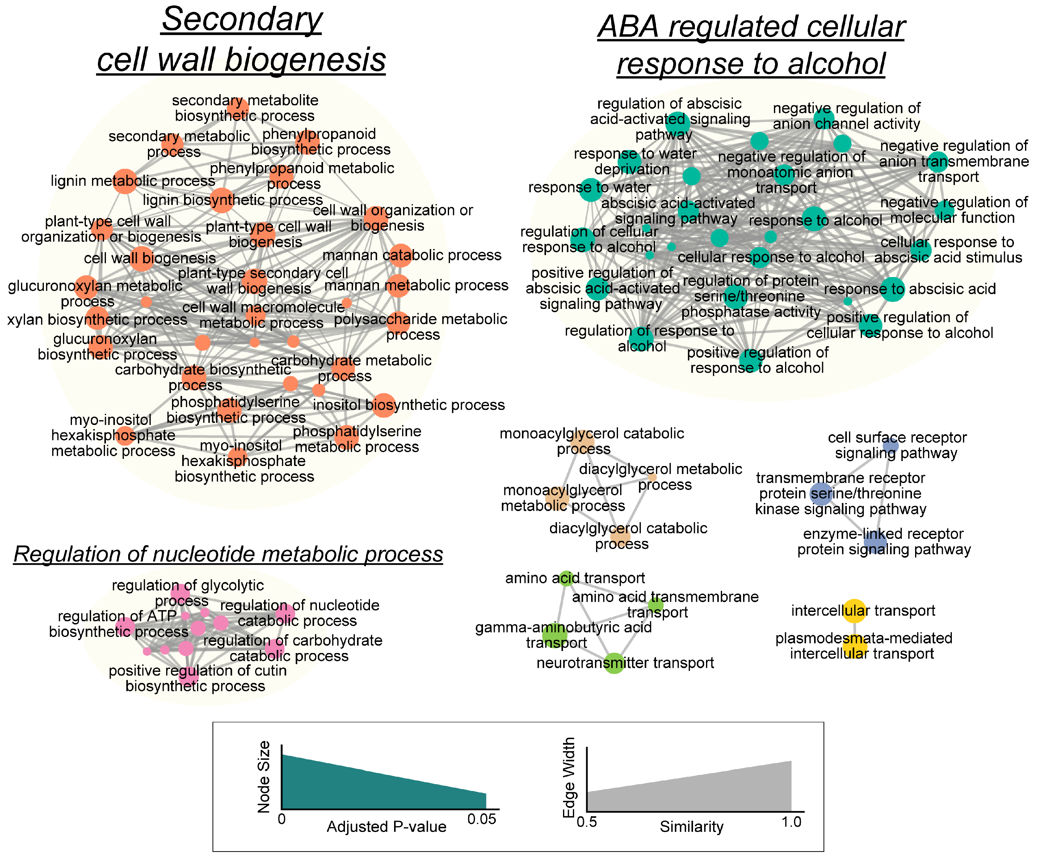 Plants 13 00953 g004
