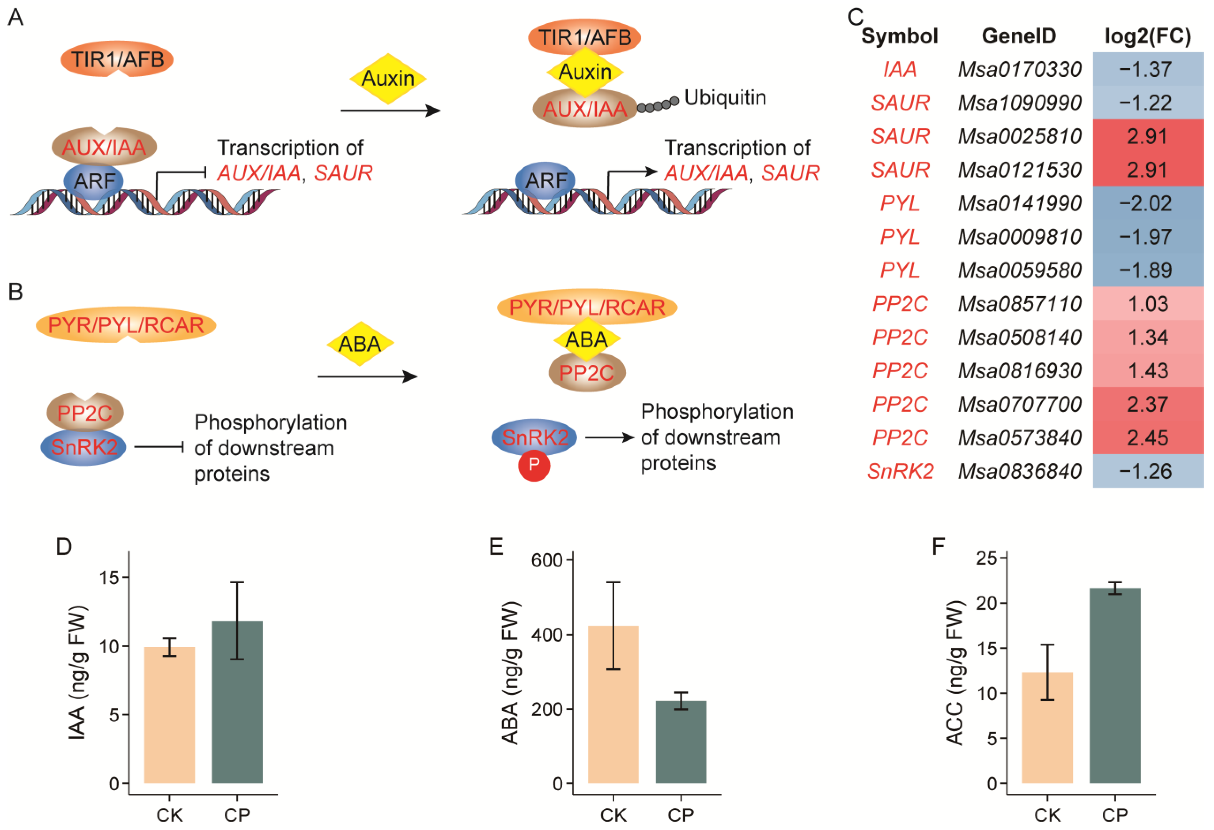 Plants 13 00953 g007