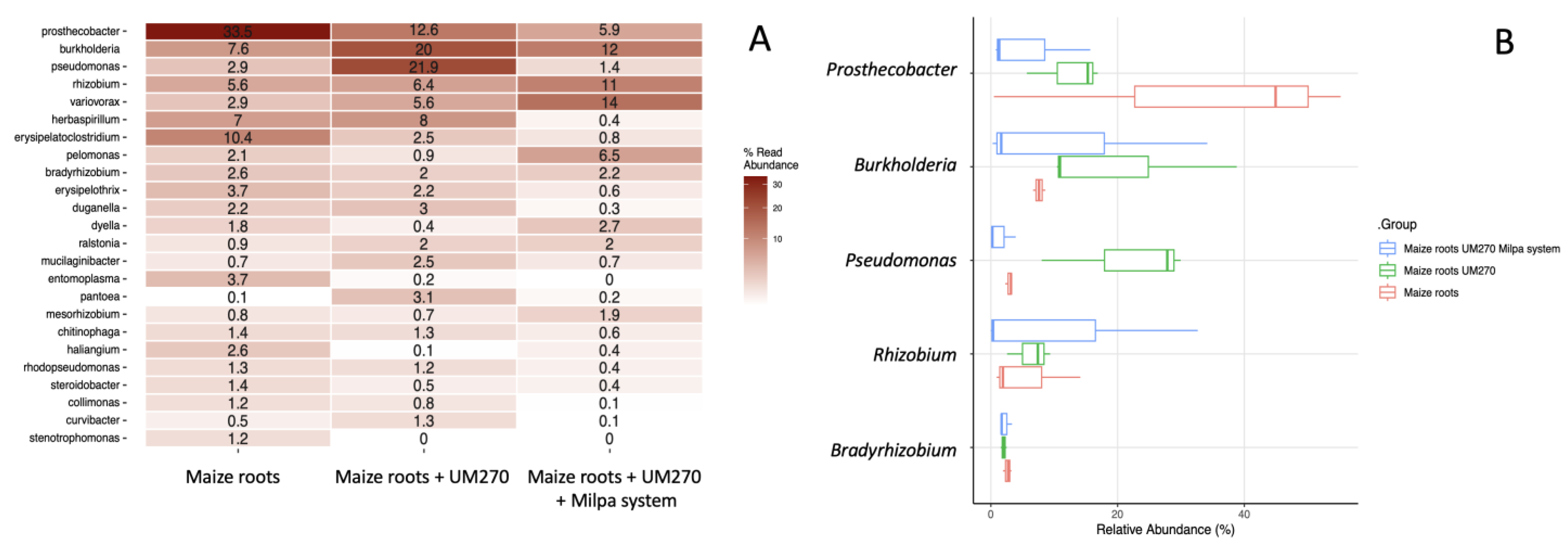 Plants 13 00954 g003