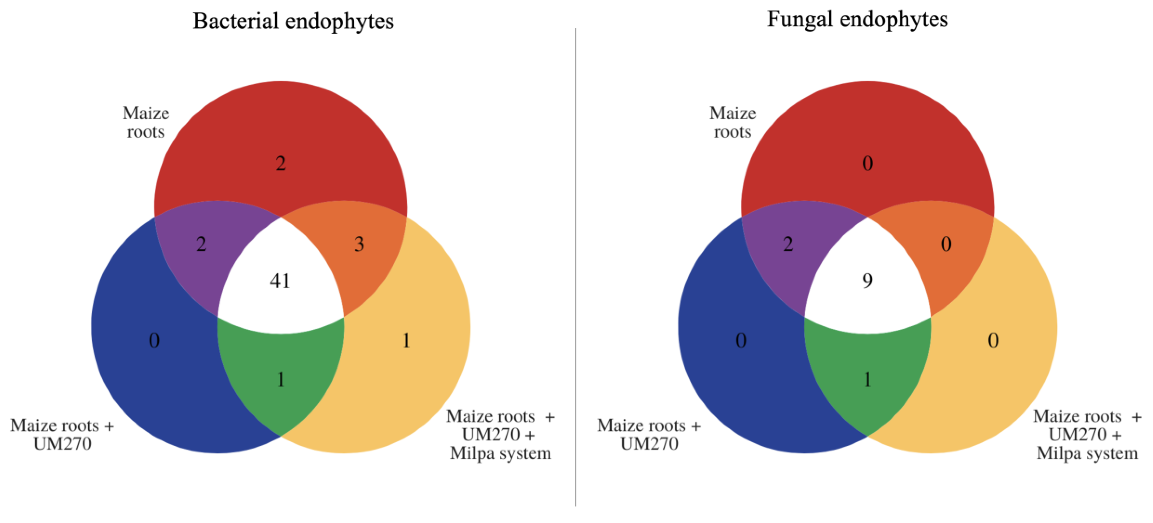 Plants 13 00954 g005