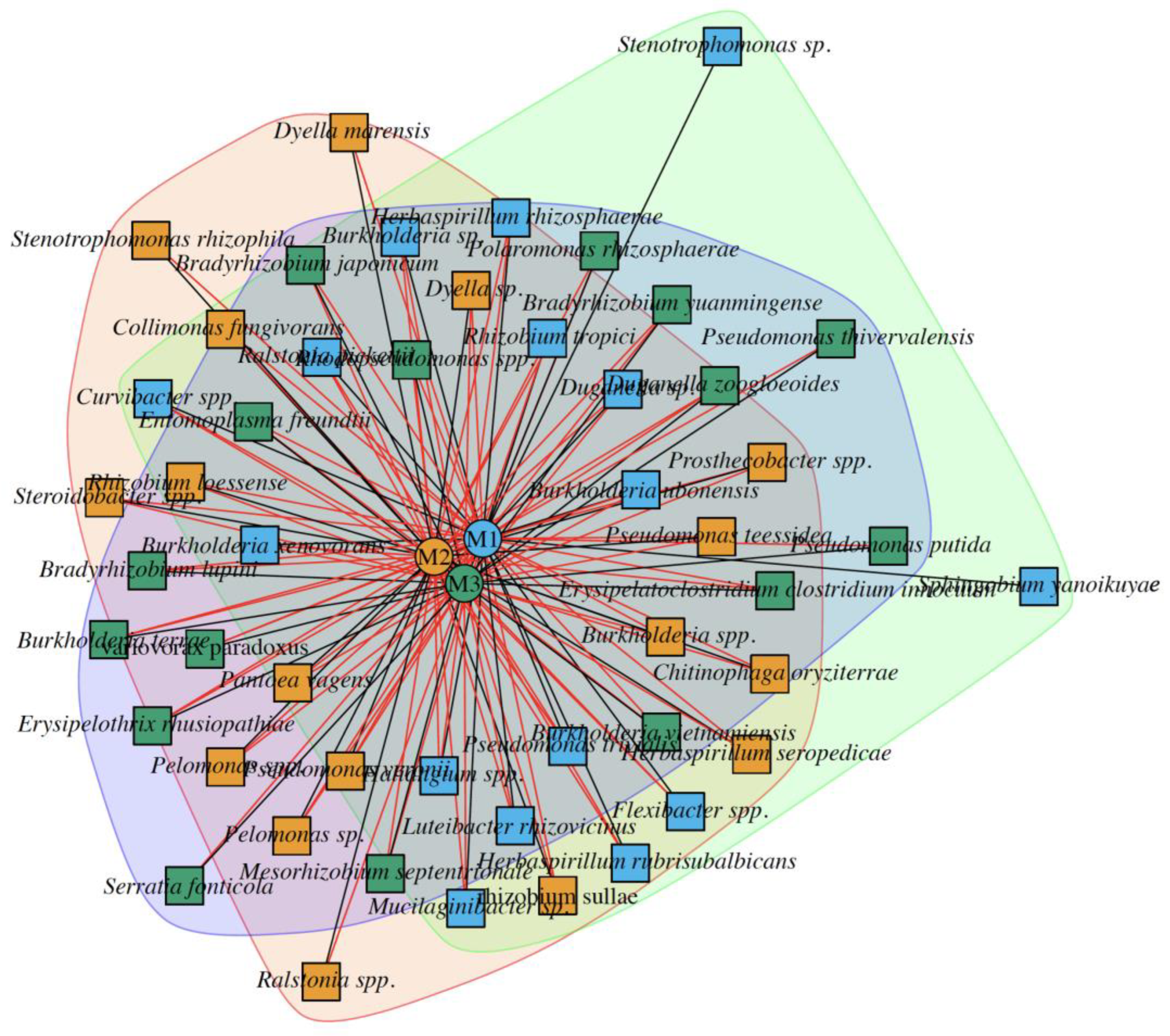 Plants 13 00954 g006