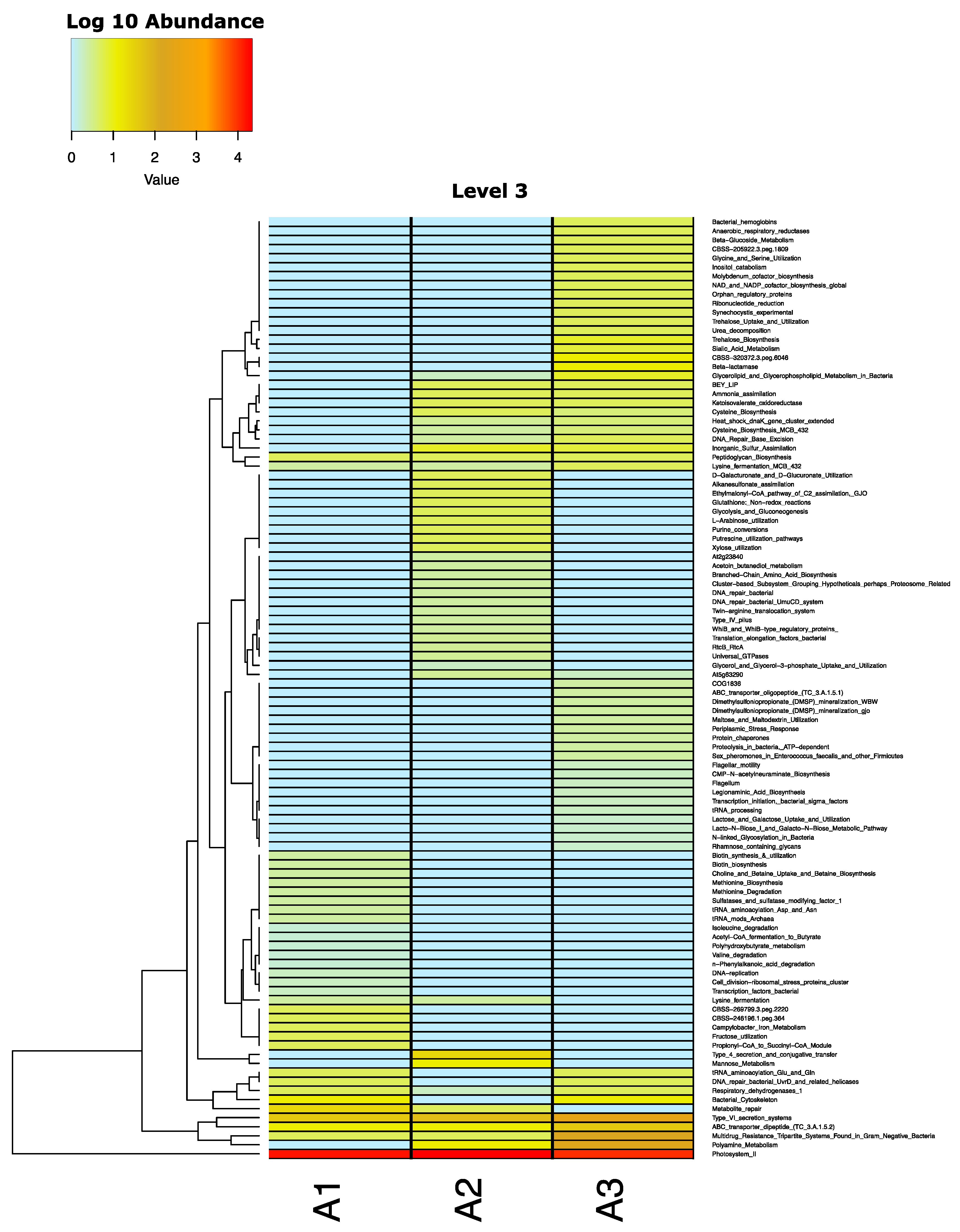 Plants 13 00954 g008