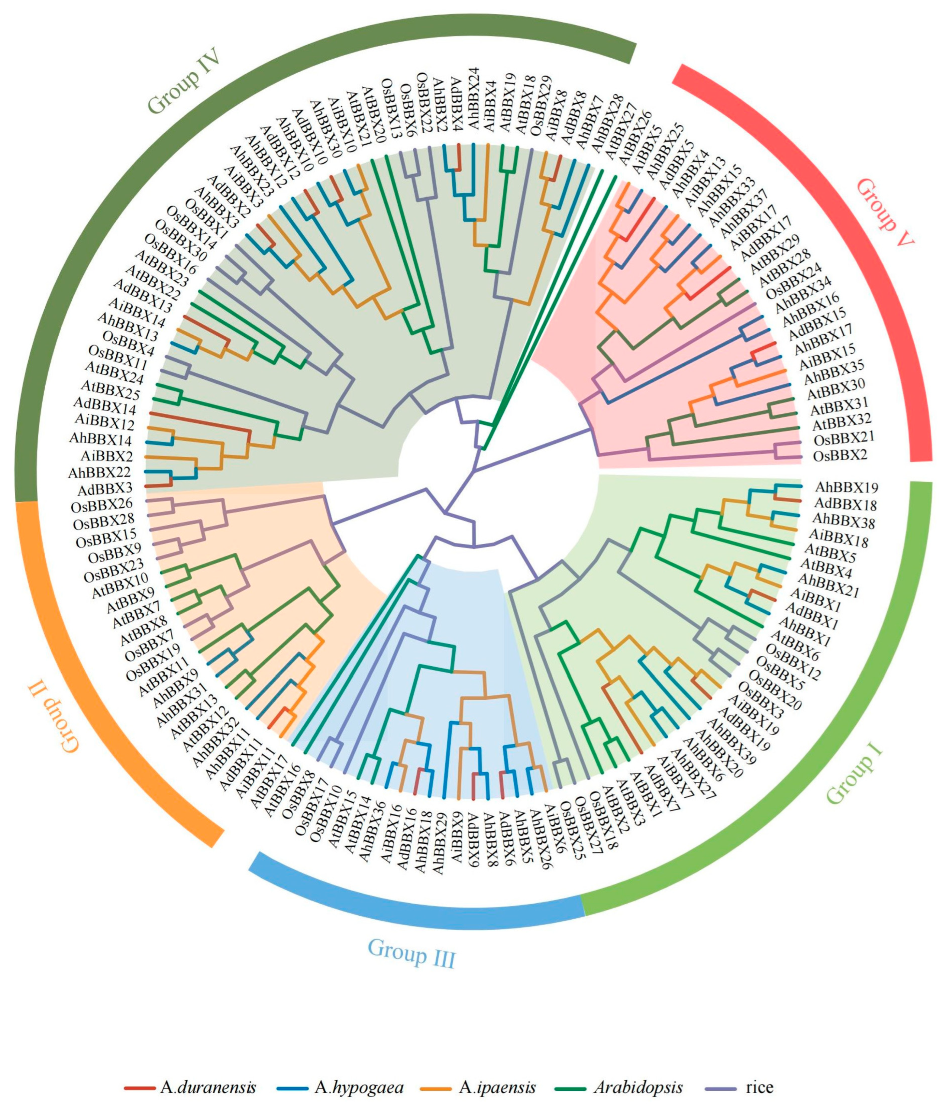 Plants 13 00955 g001