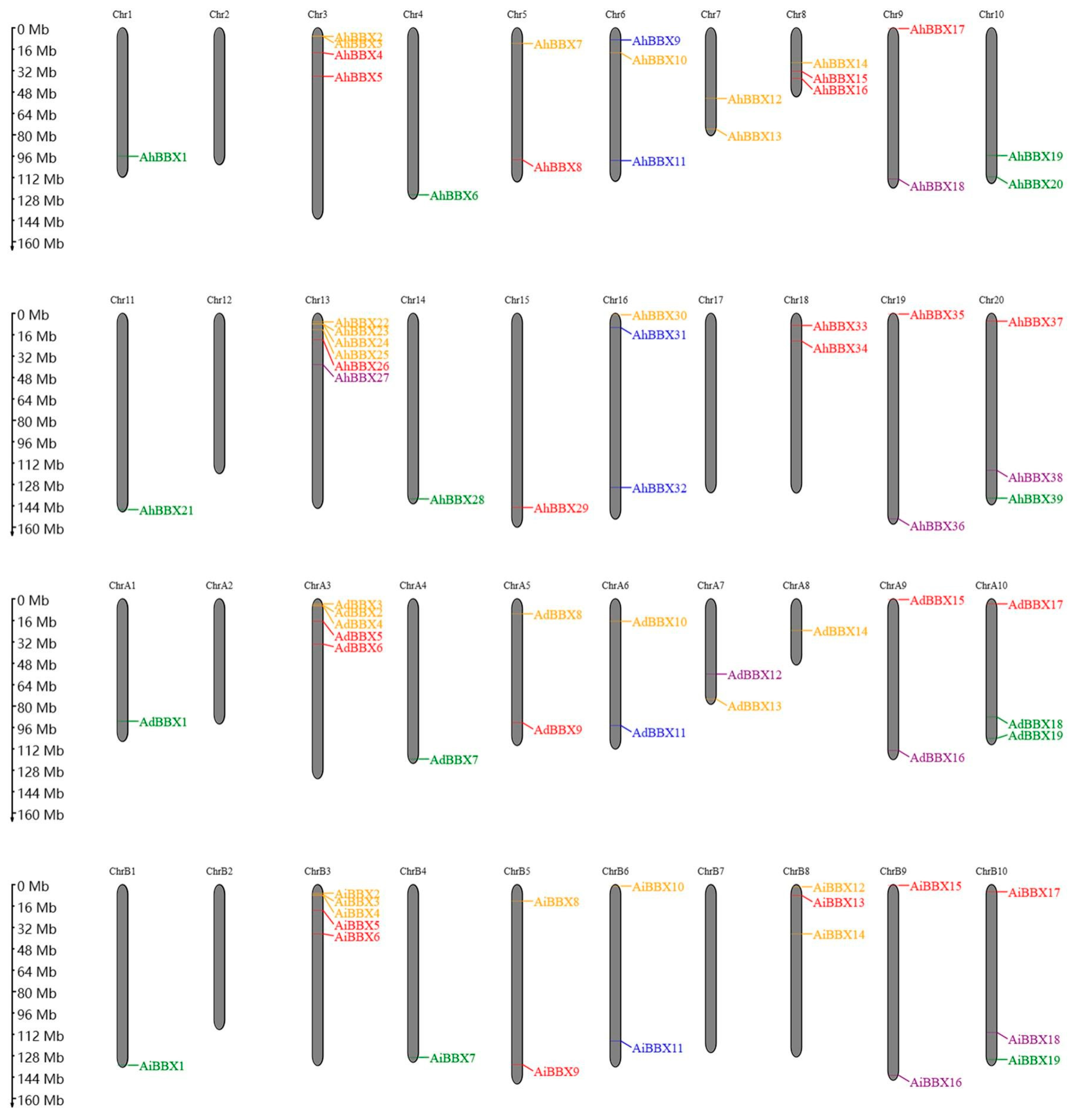 Plants 13 00955 g002