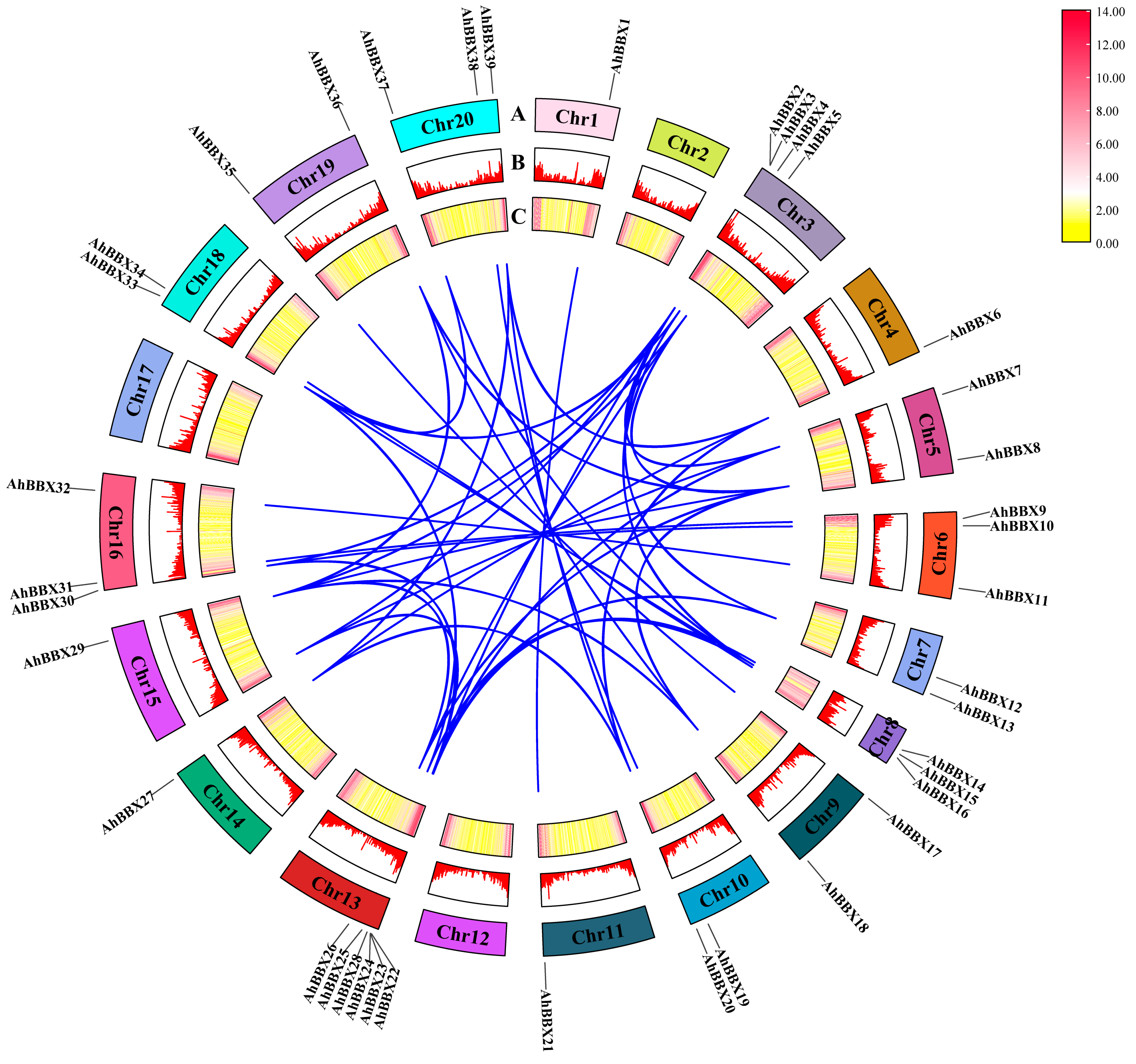 Plants 13 00955 g003