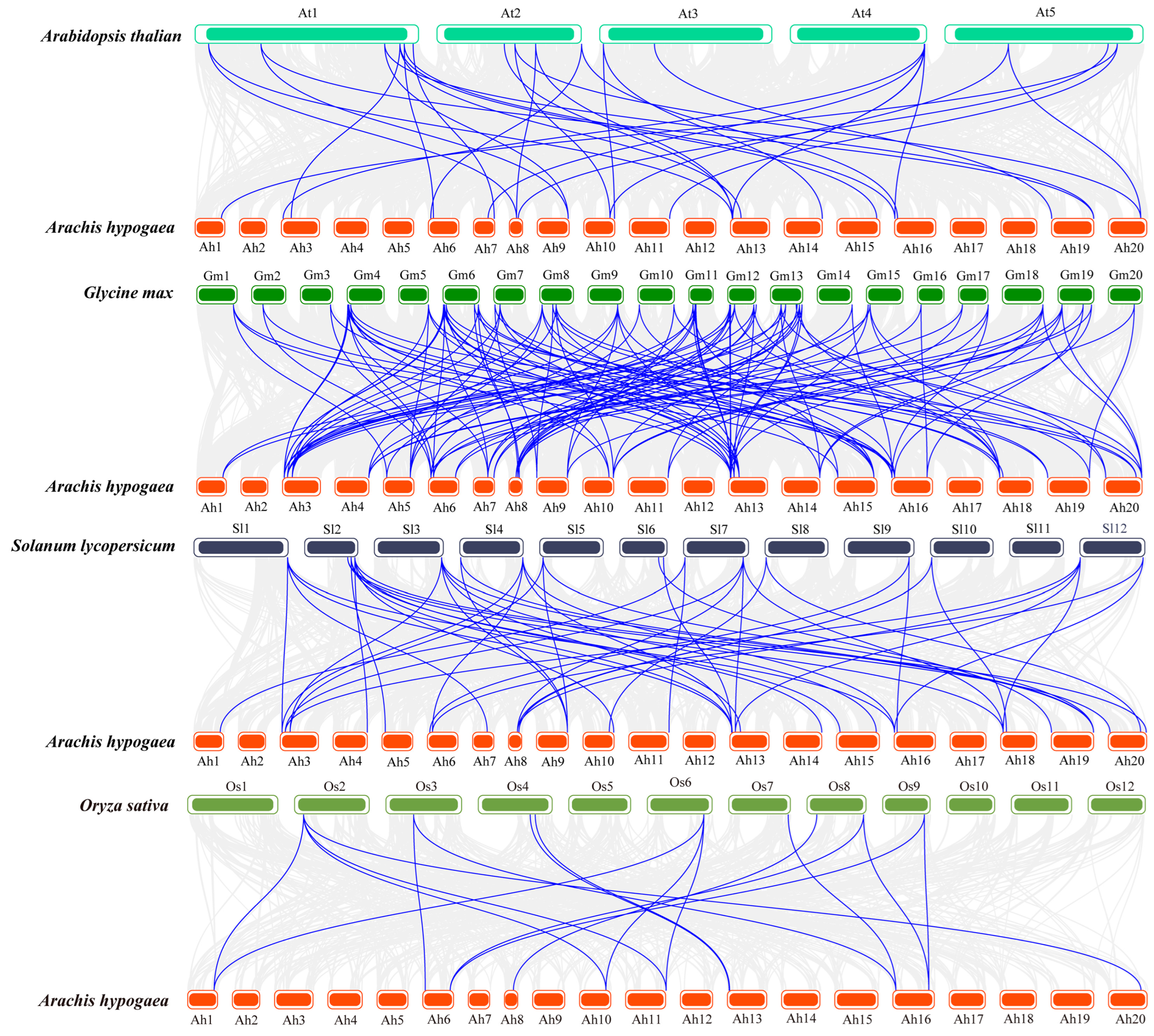 Plants 13 00955 g004