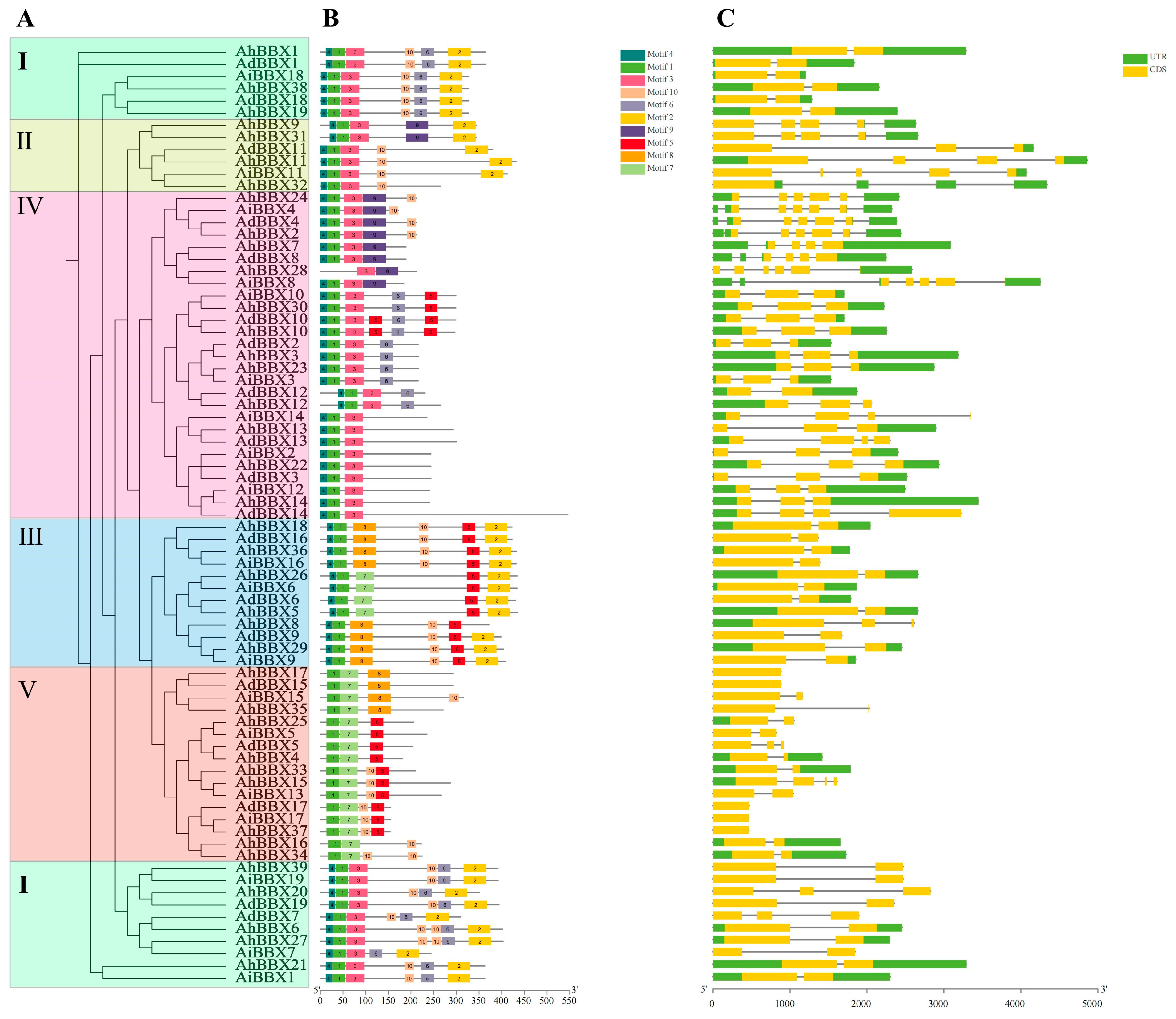 Plants 13 00955 g005