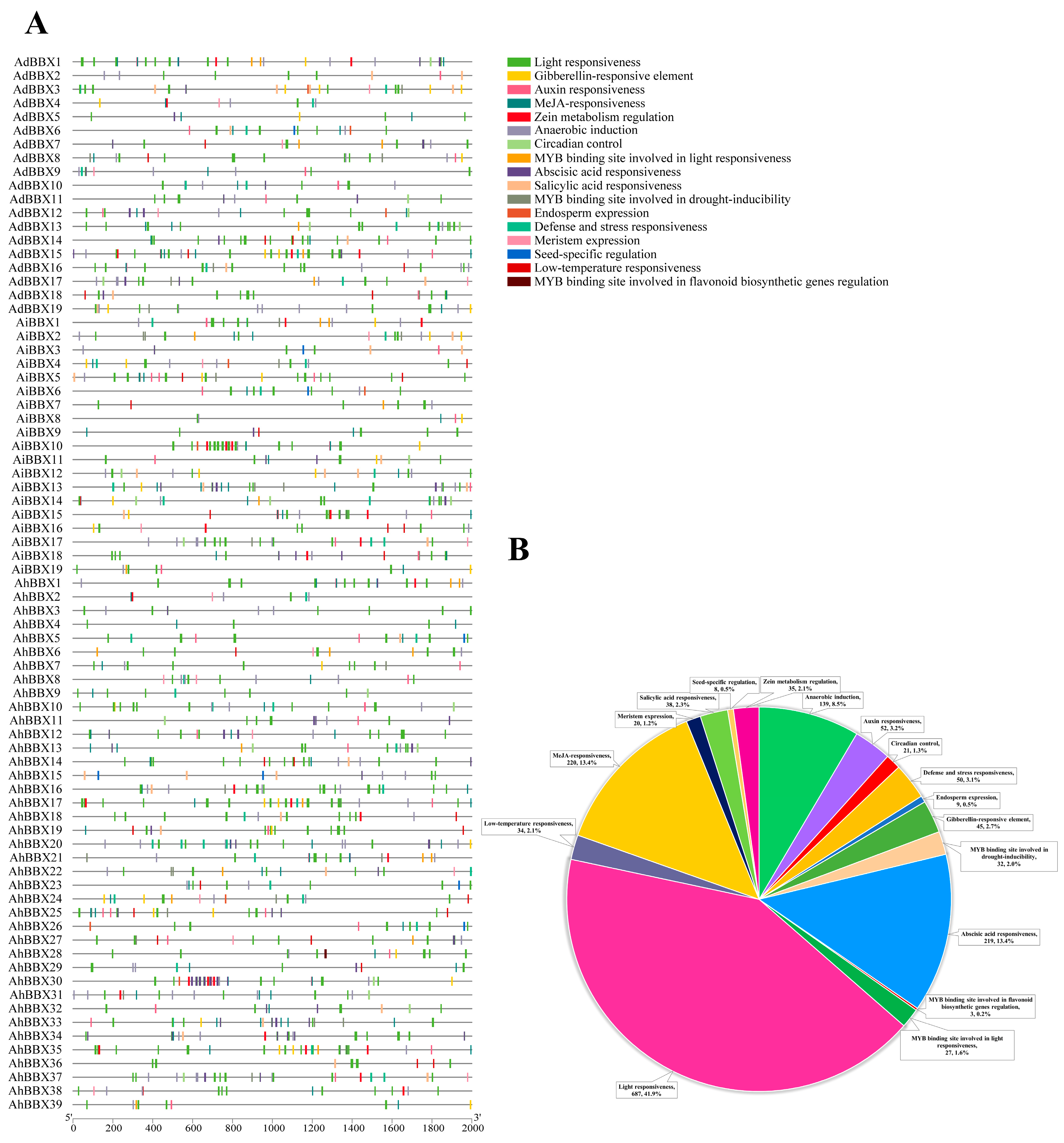Plants 13 00955 g006