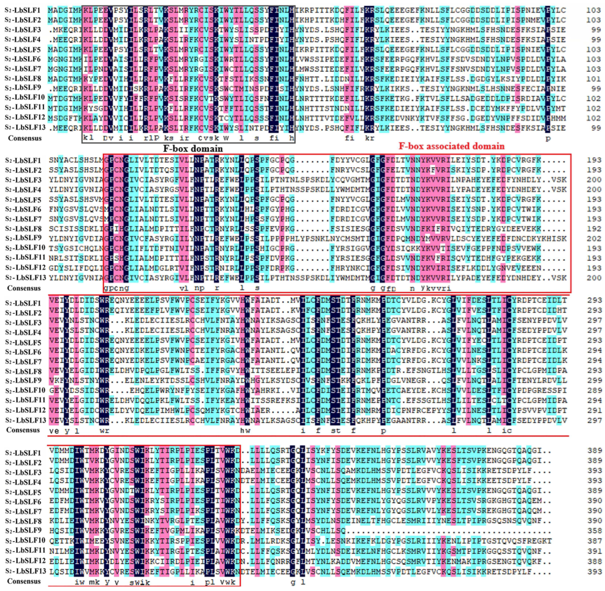 Plants 13 00959 g001