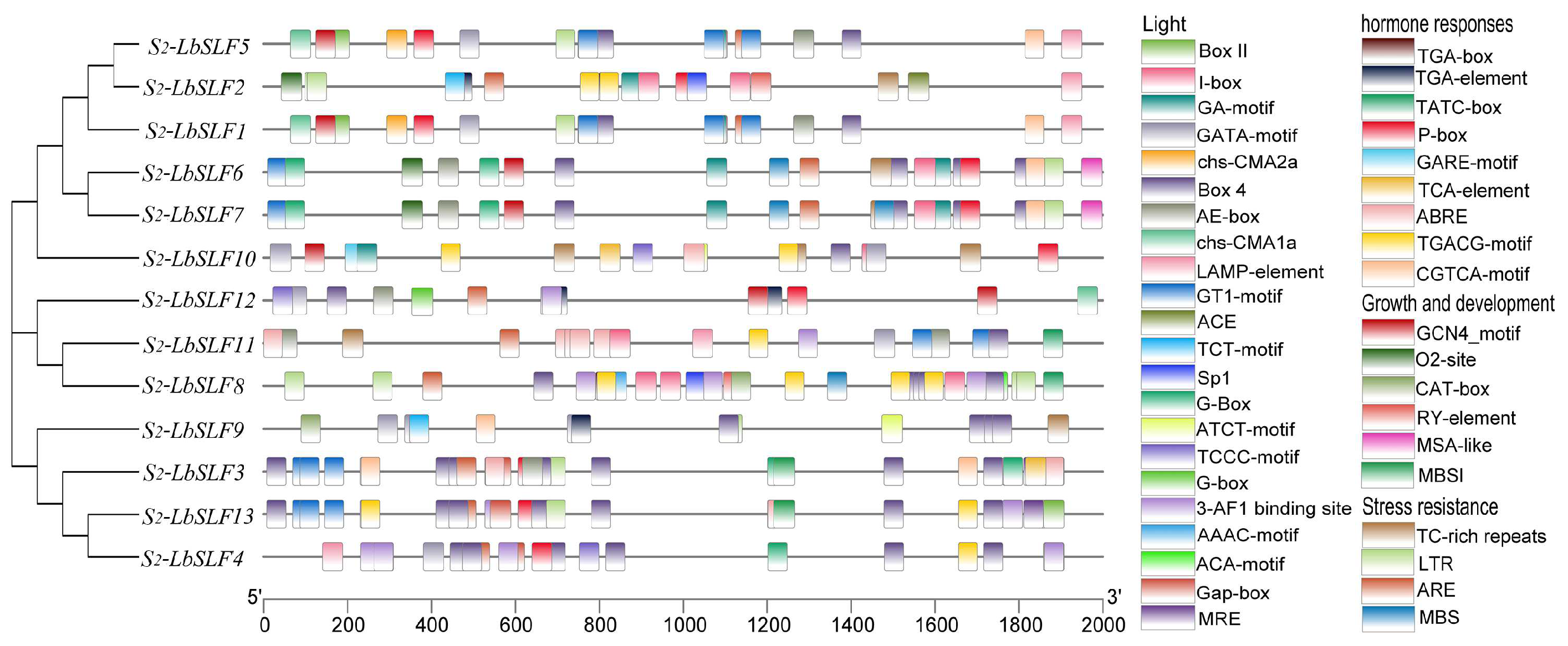 Plants 13 00959 g003