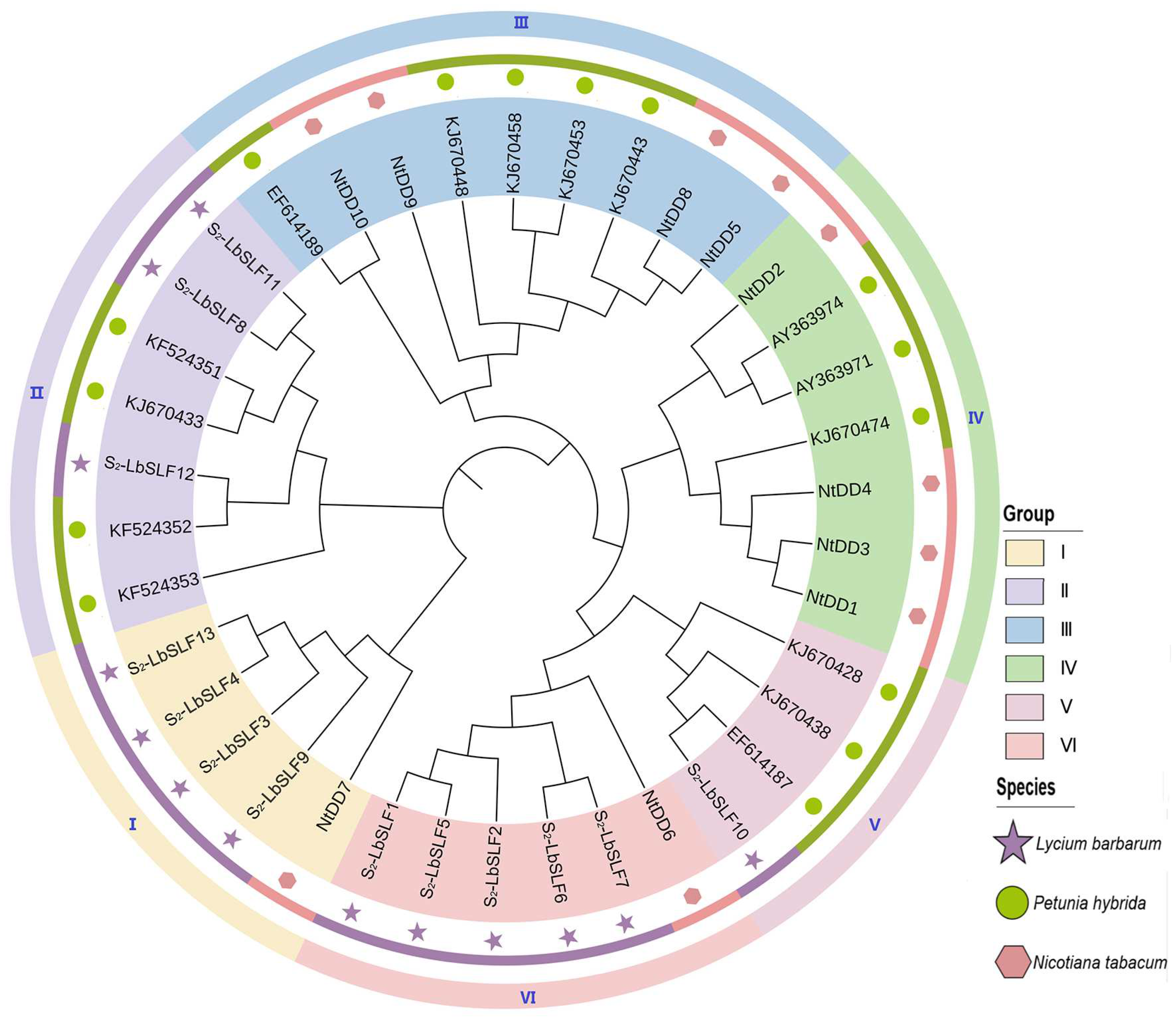 Plants 13 00959 g004
