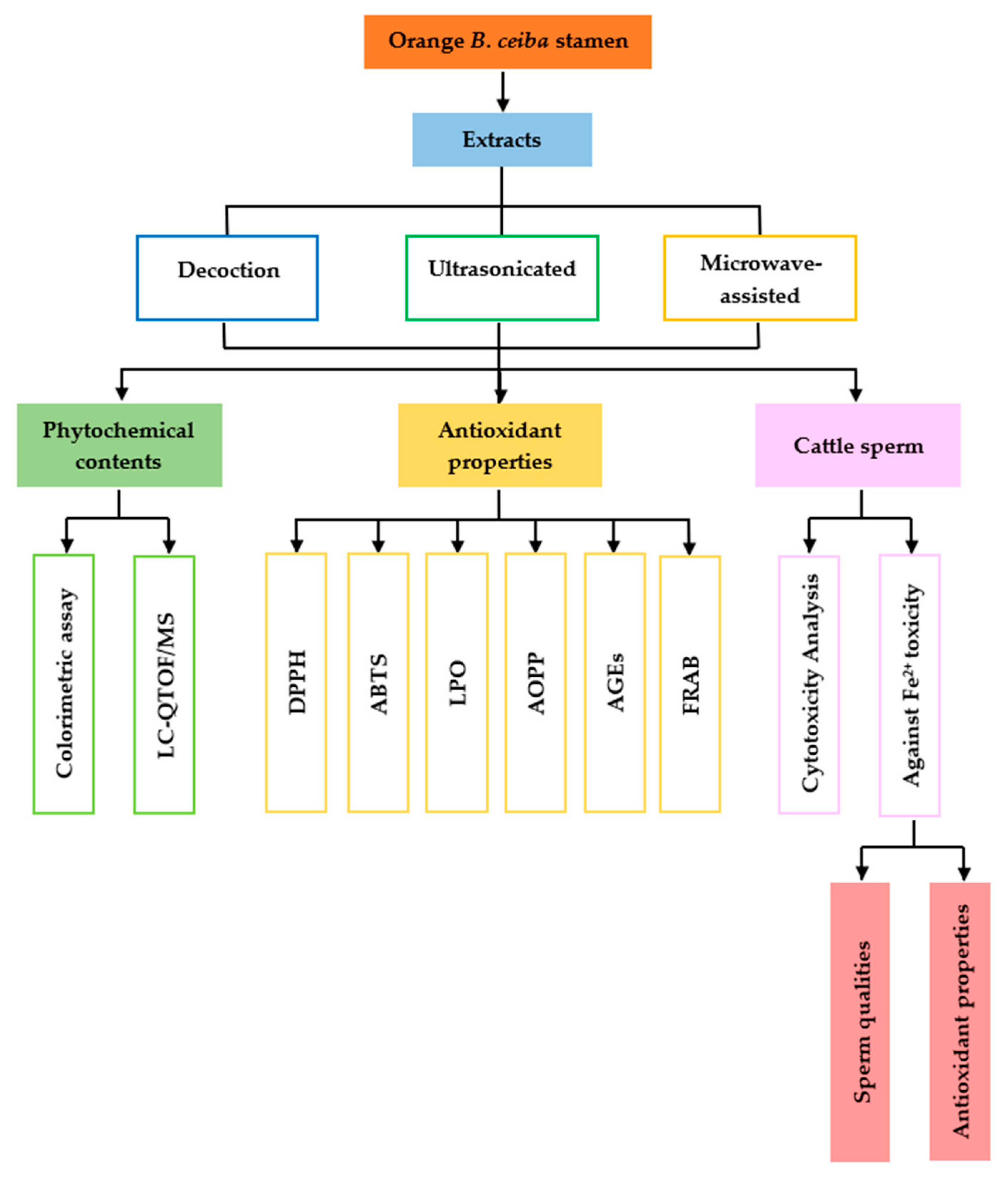Plants 13 00960 g008