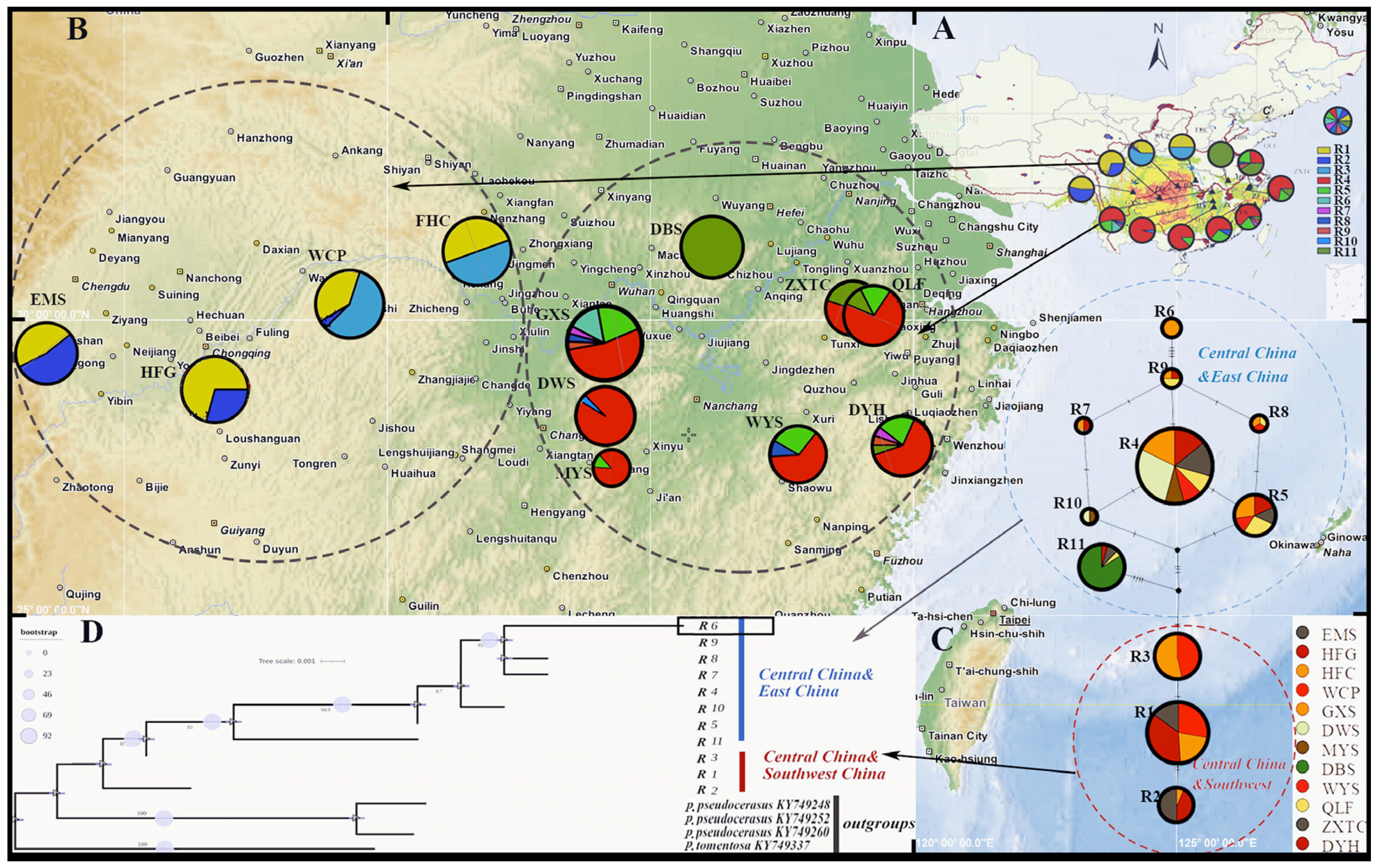 Plants 13 00974 g003
