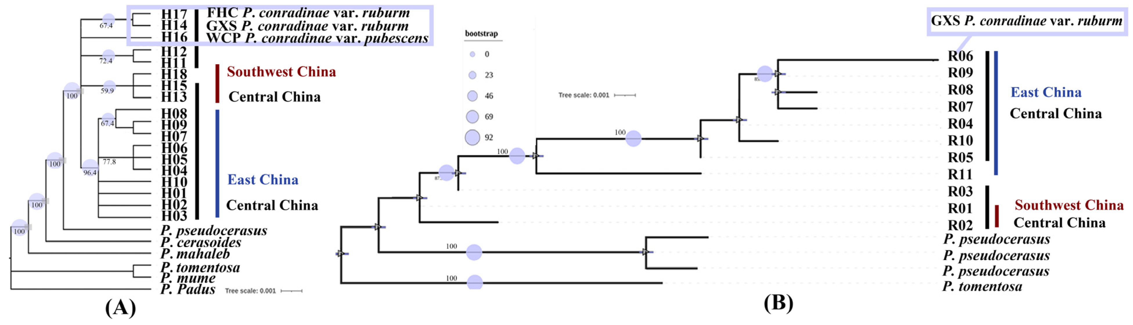 Plants 13 00974 g006