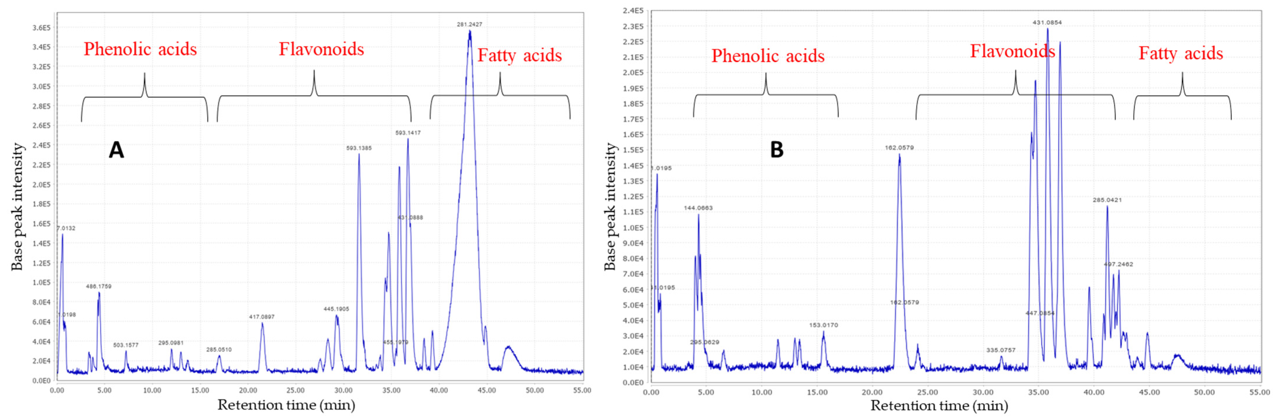Plants 13 00976 g001