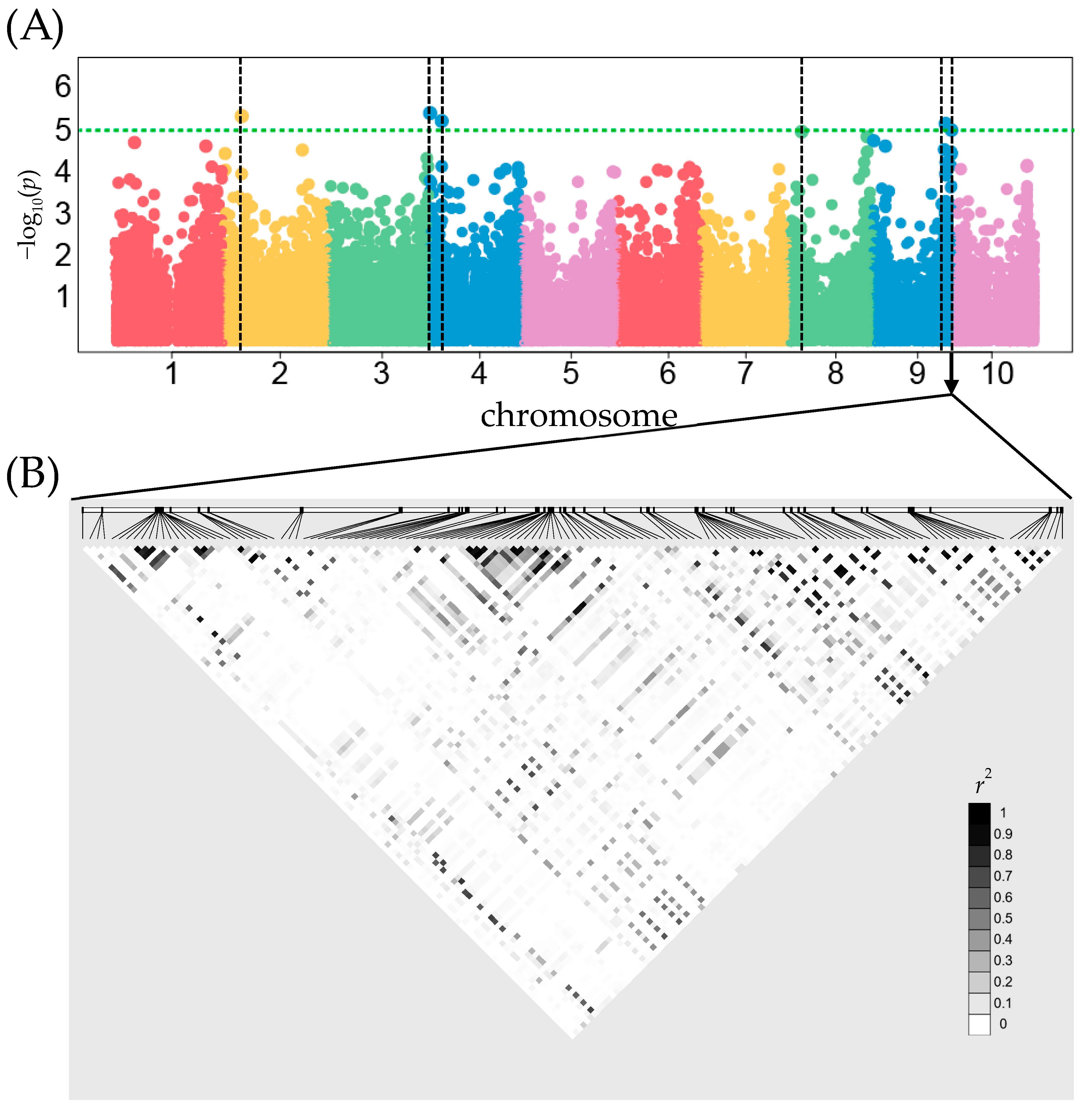 Plants 13 00977 g002