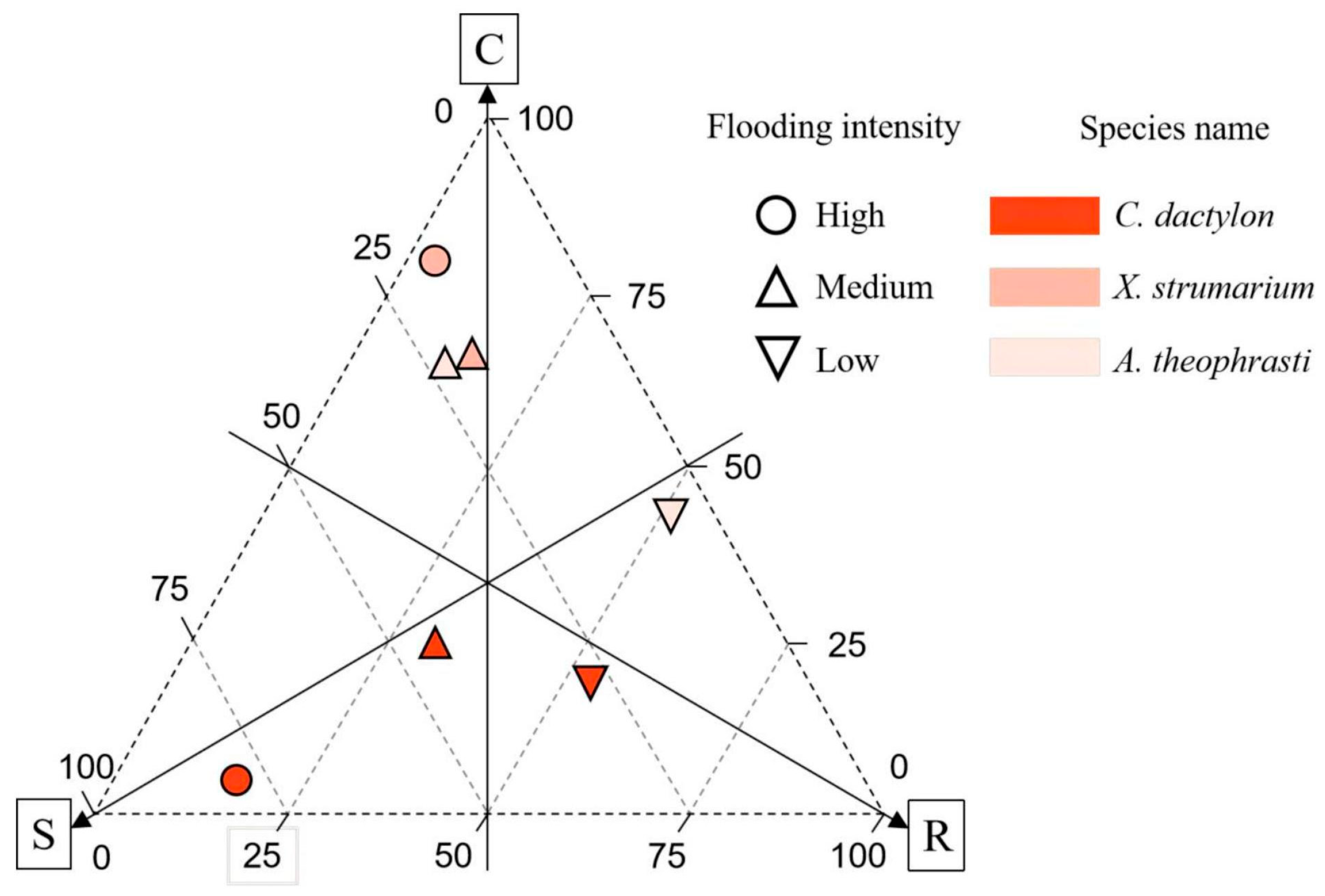Plants 13 00978 g009