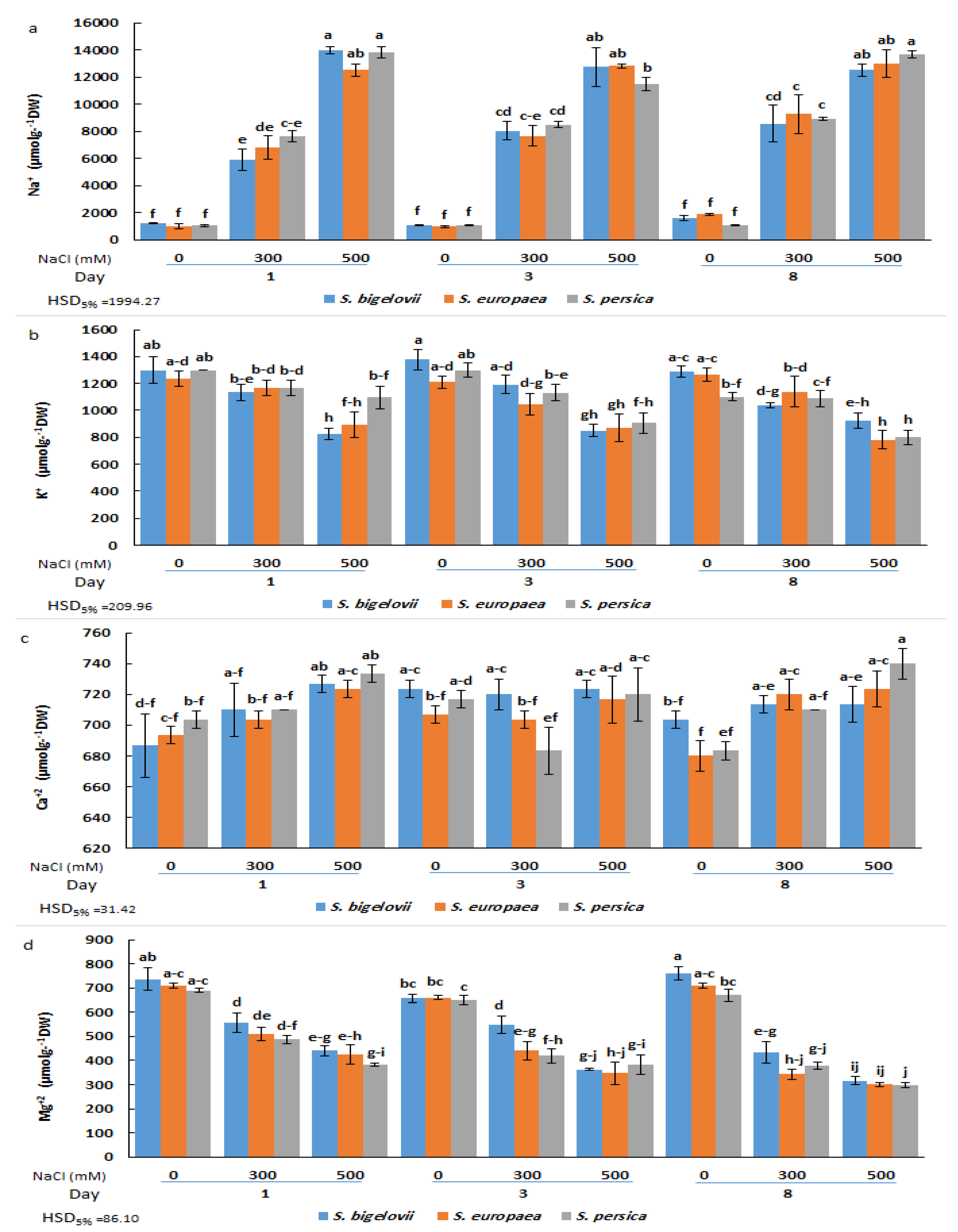 Plants 13 00979 g003