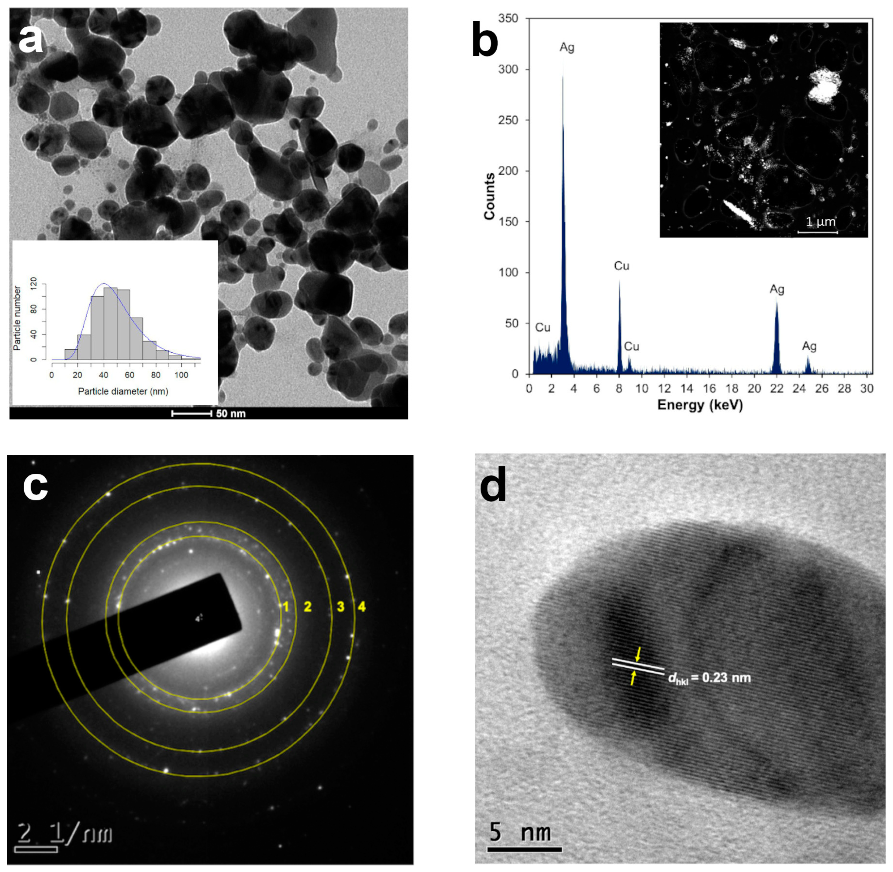 Plants 13 00981 g003