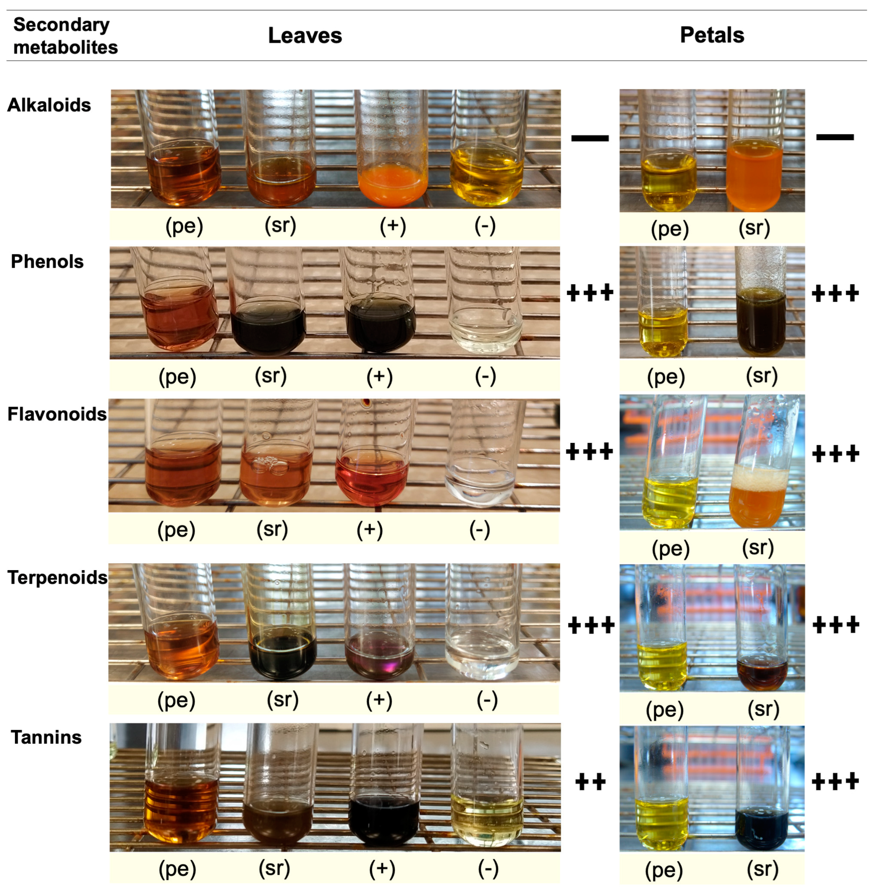 Plants 13 00981 g005