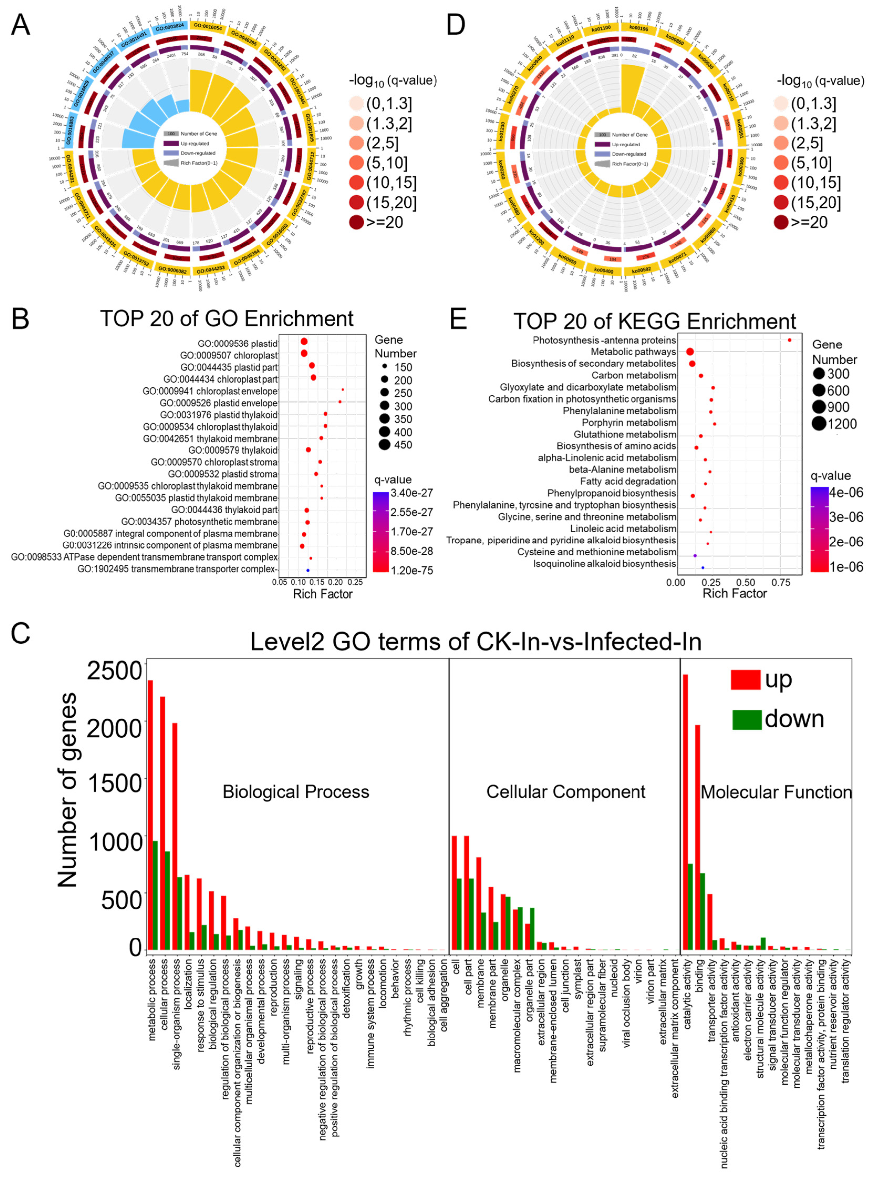Plants 13 00982 g003