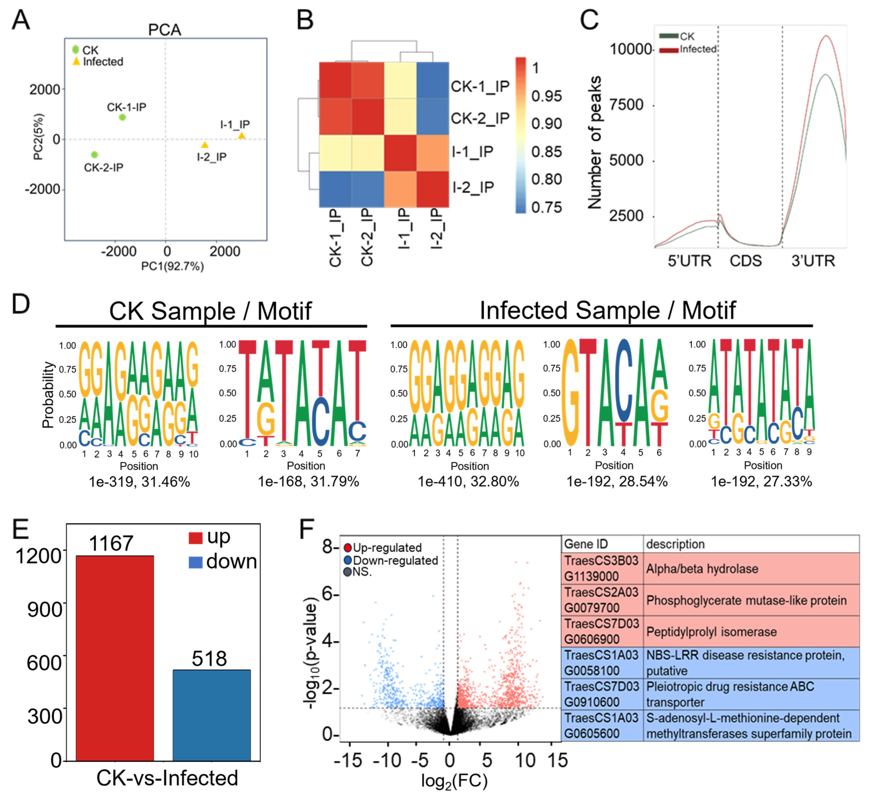 Plants 13 00982 g004