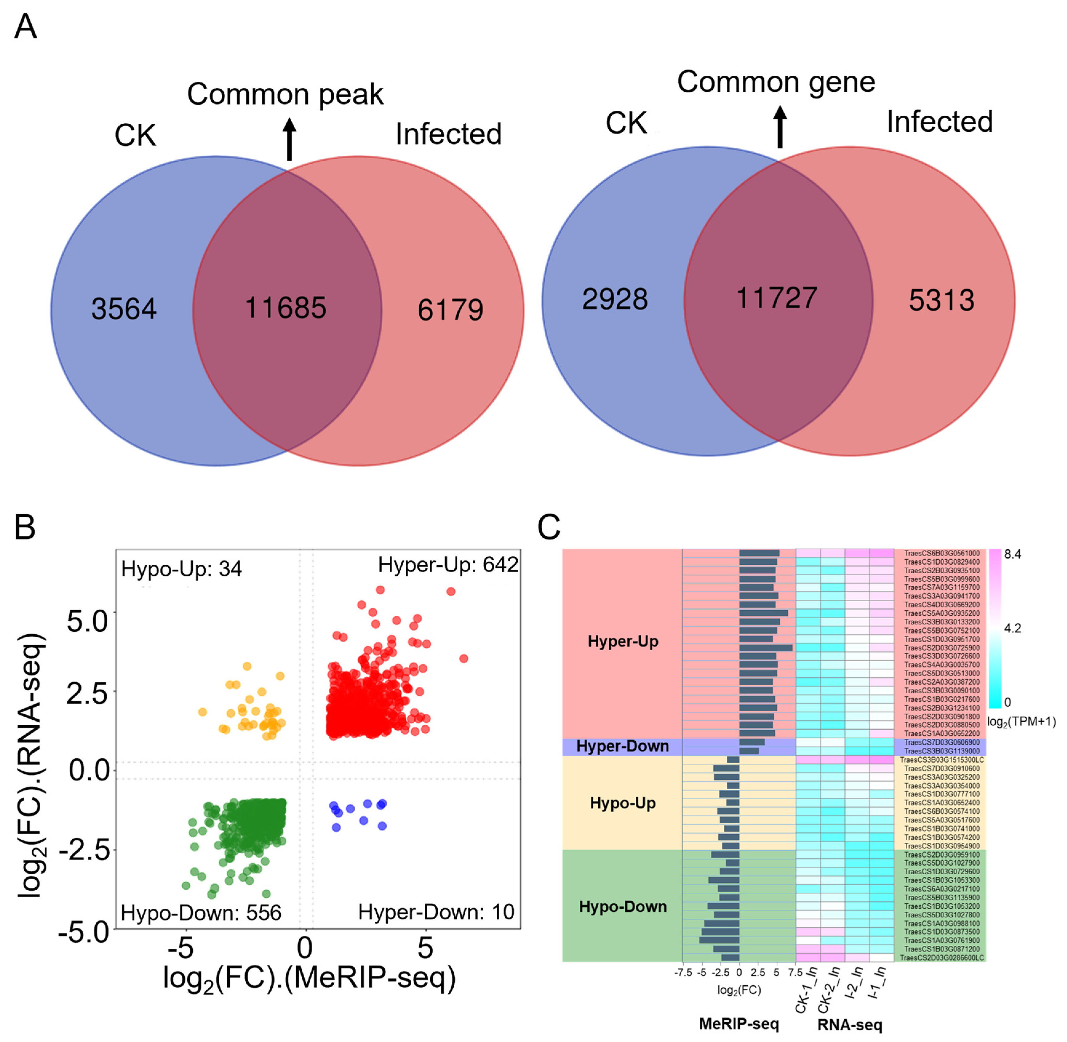 Plants 13 00982 g006