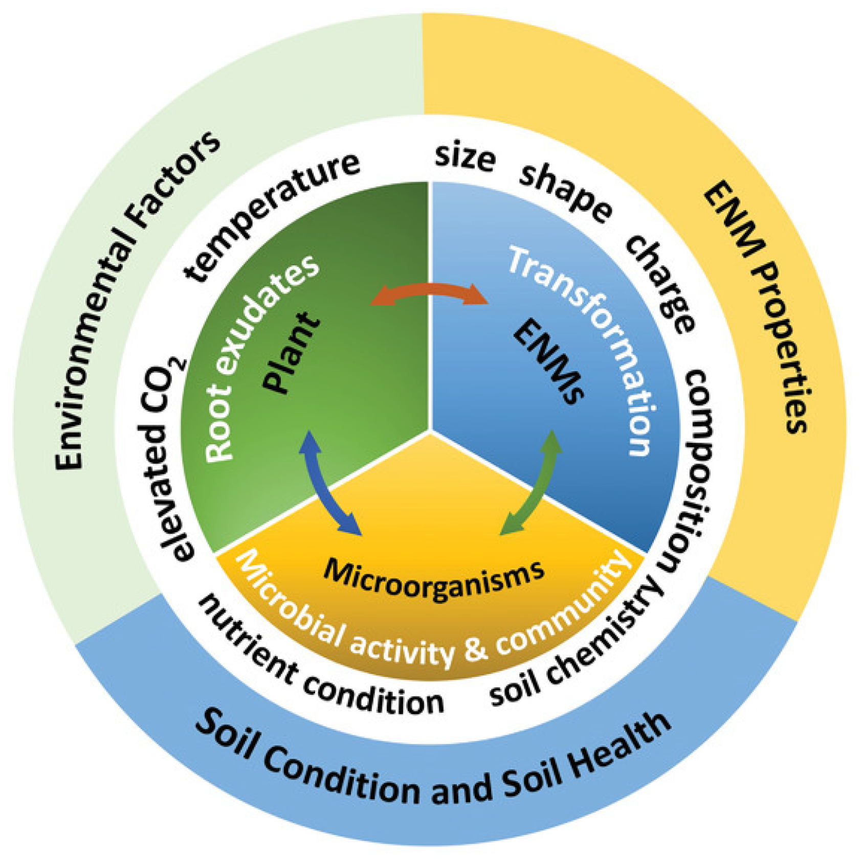 Plants 13 00984 g007