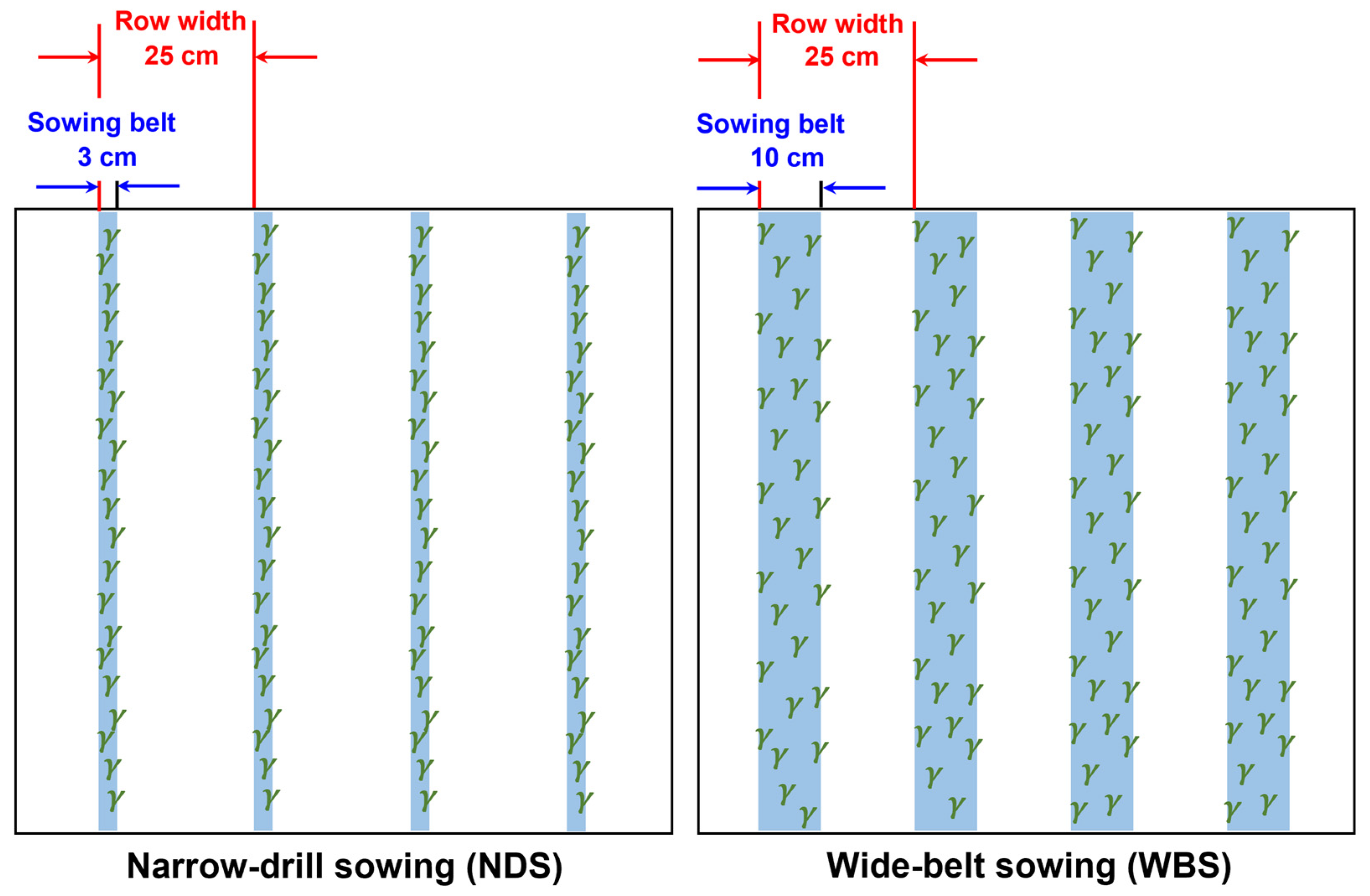 Plants 13 00986 g011