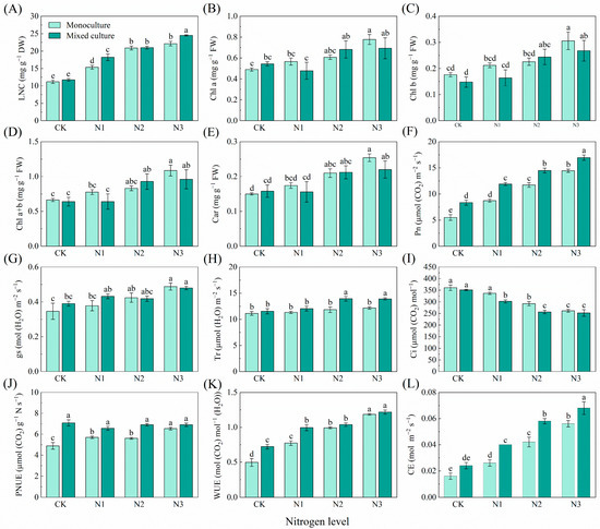 Leaf Traits Explain the Growth Variation and Nitrogen