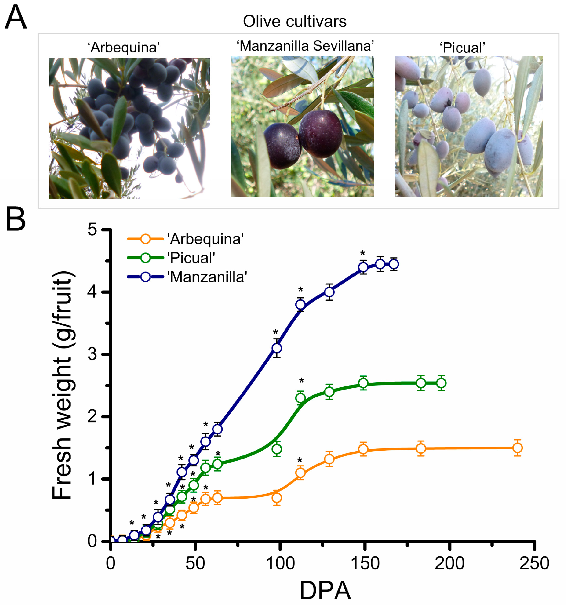 Plants 13 00990 g001