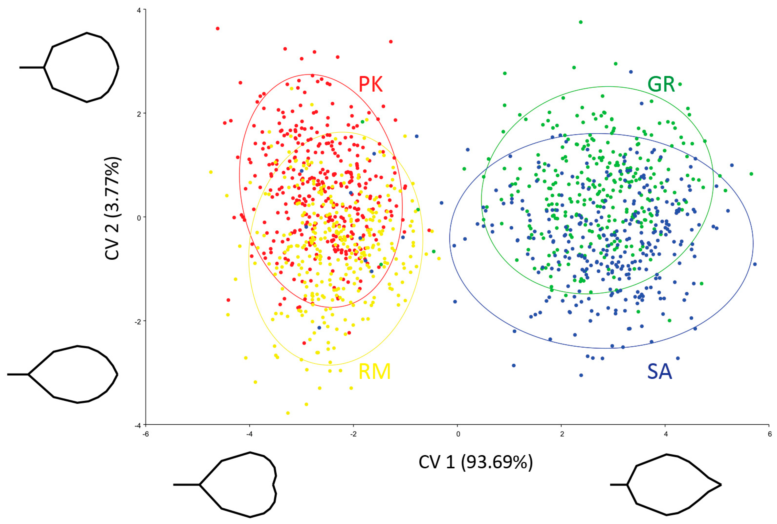 Plants 13 00993 g001