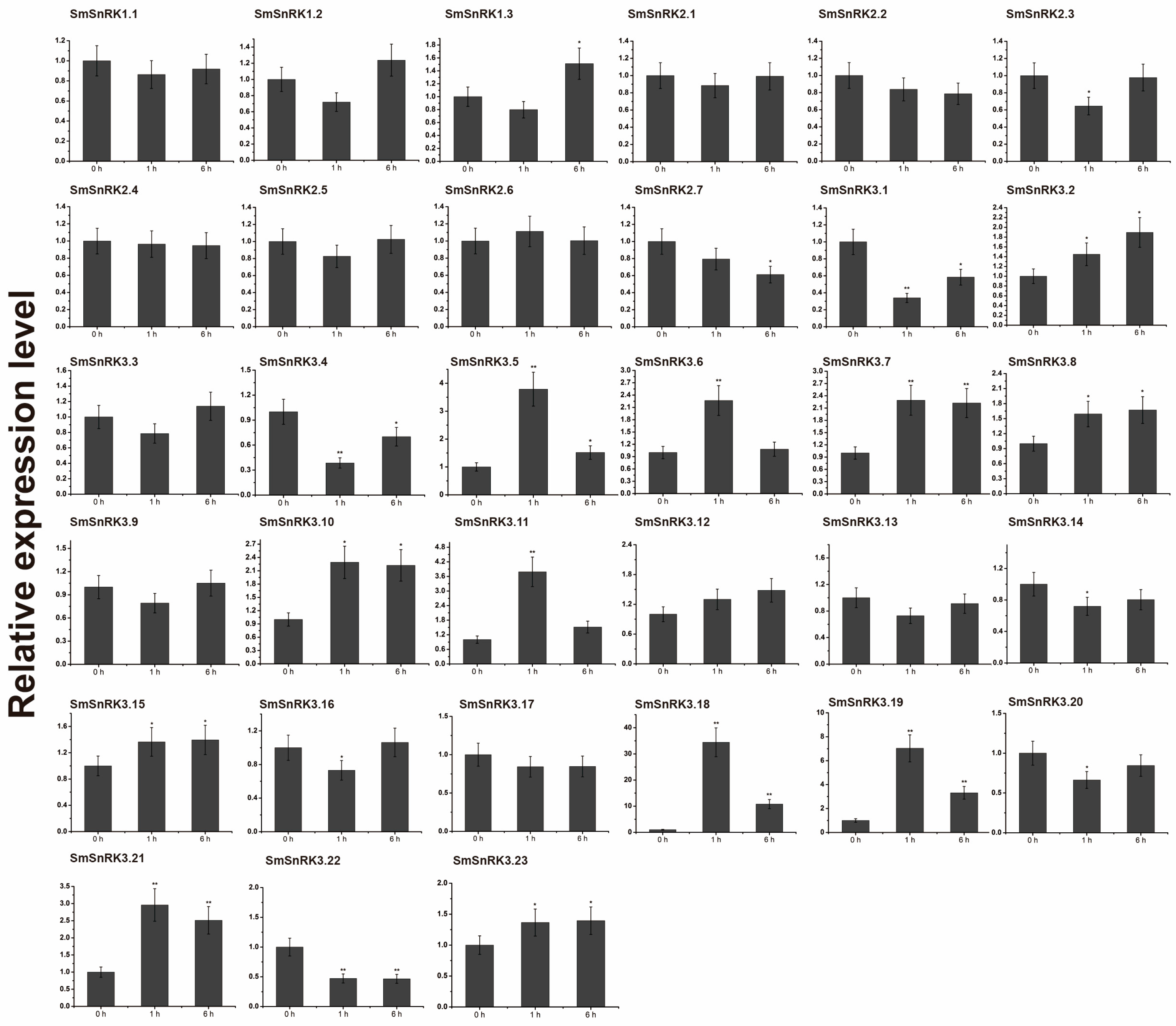 Plants 13 00994 g005