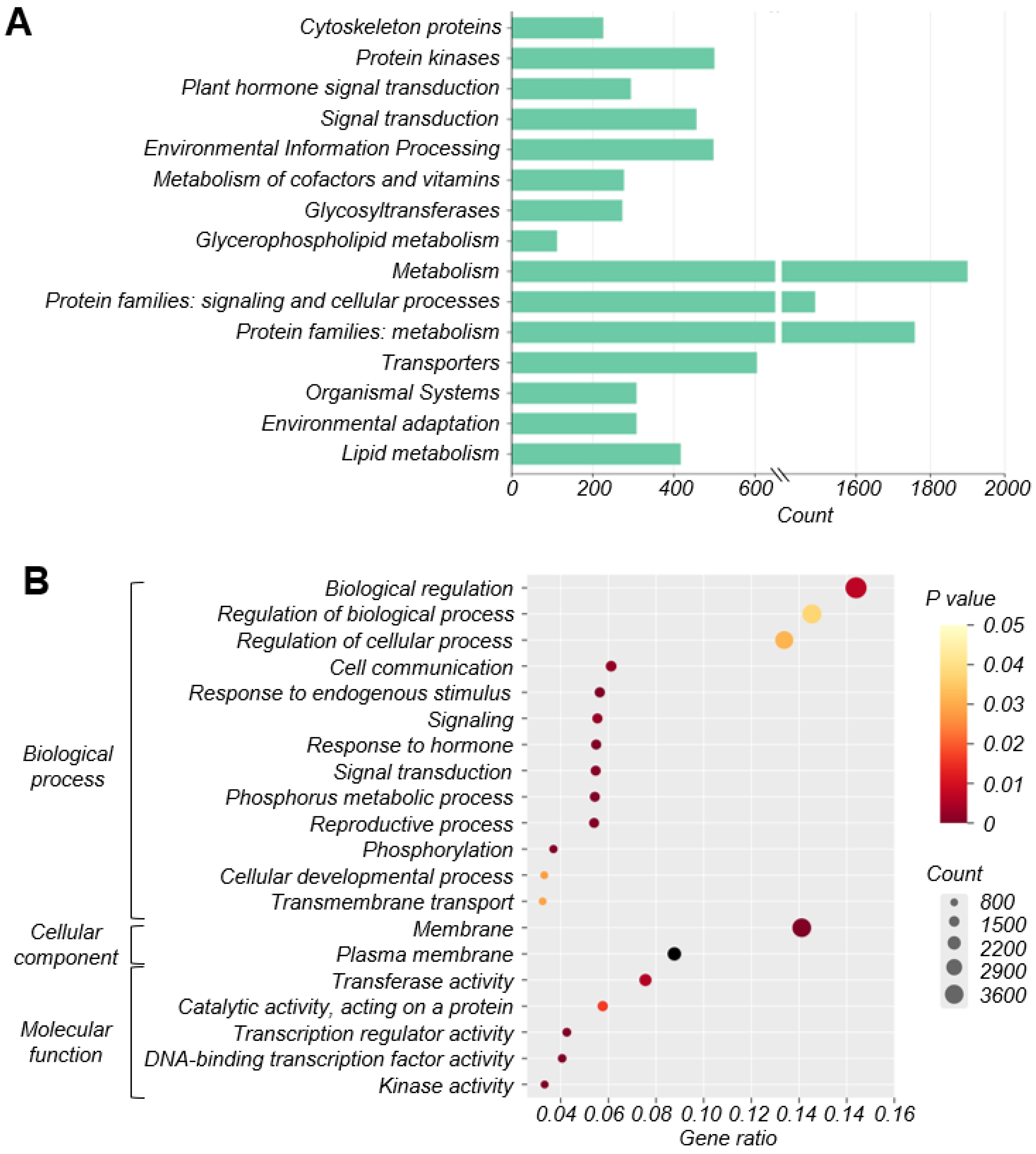 Plants 13 00996 g005