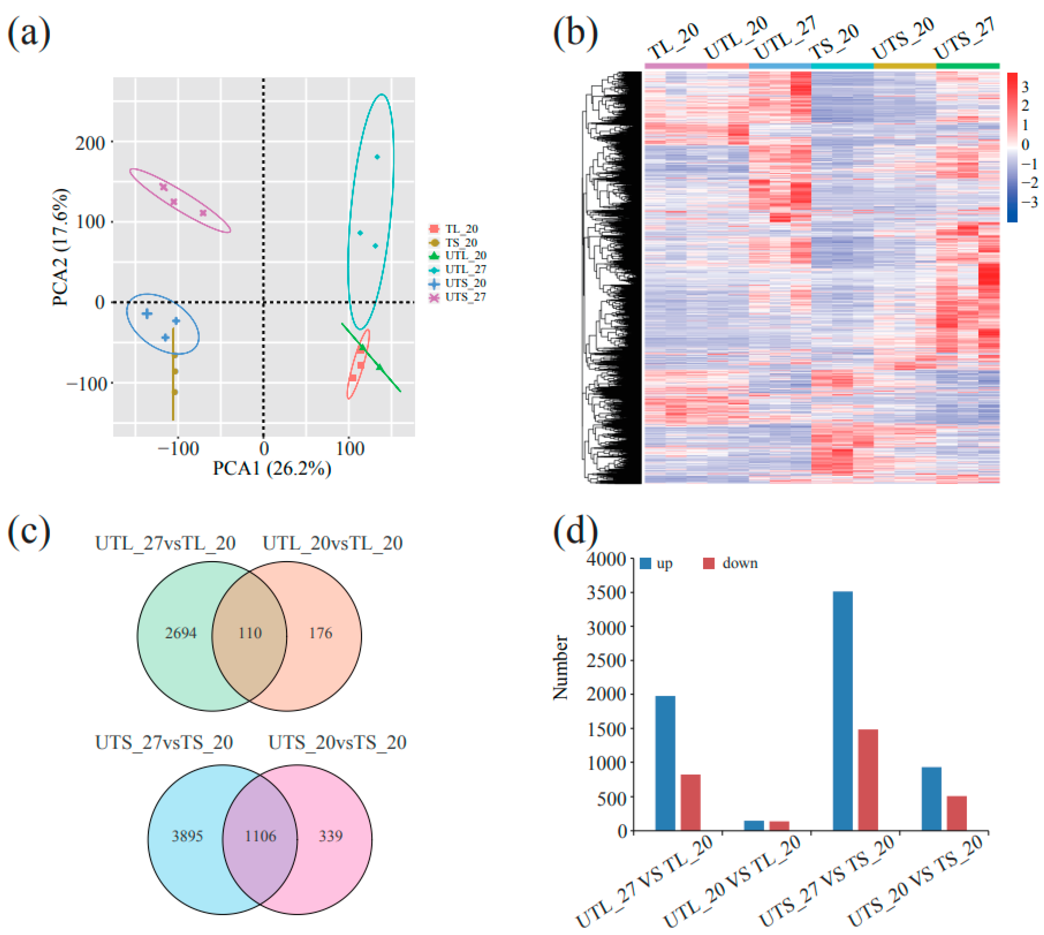 Plants 13 00998 g002