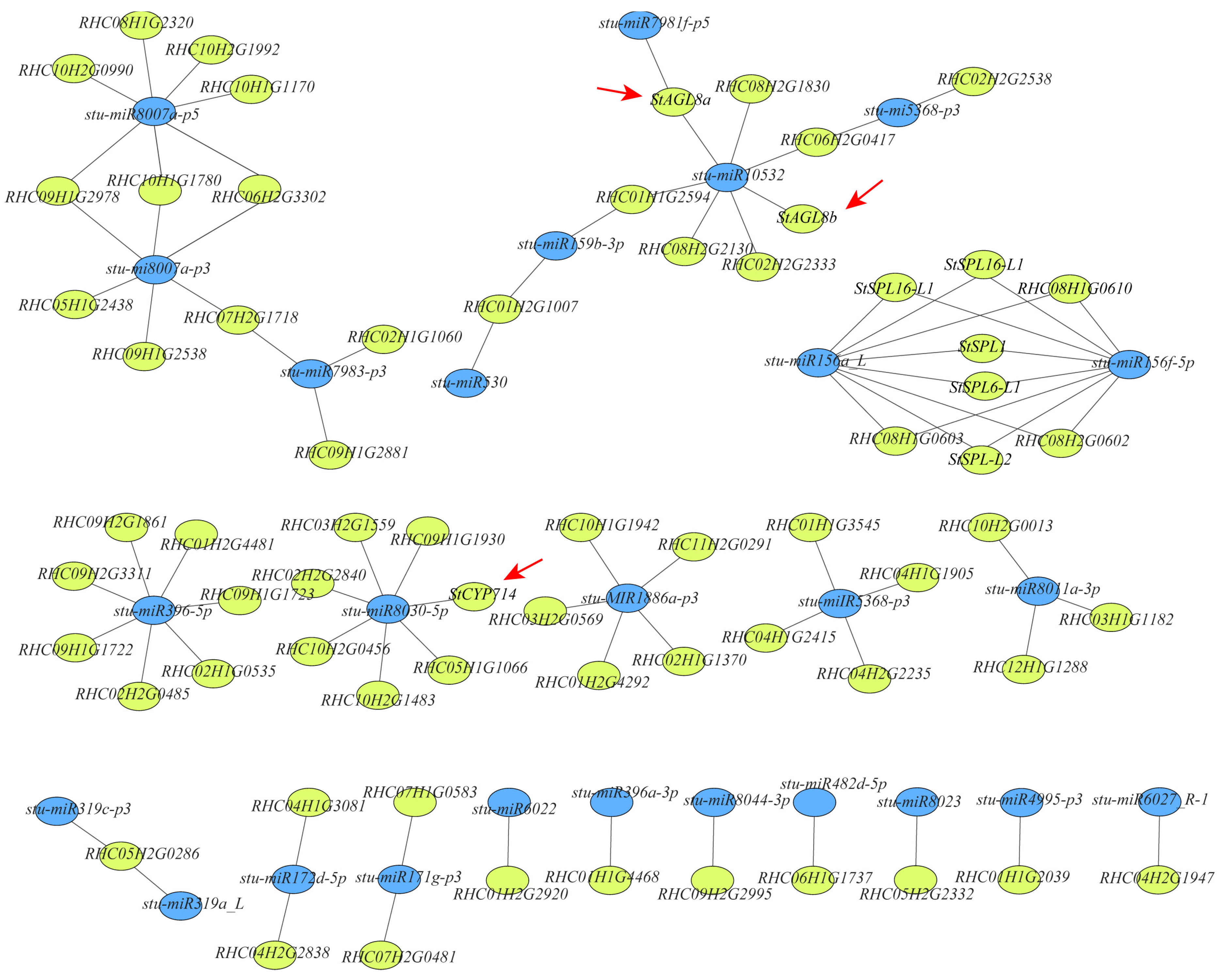 Plants 13 00998 g006