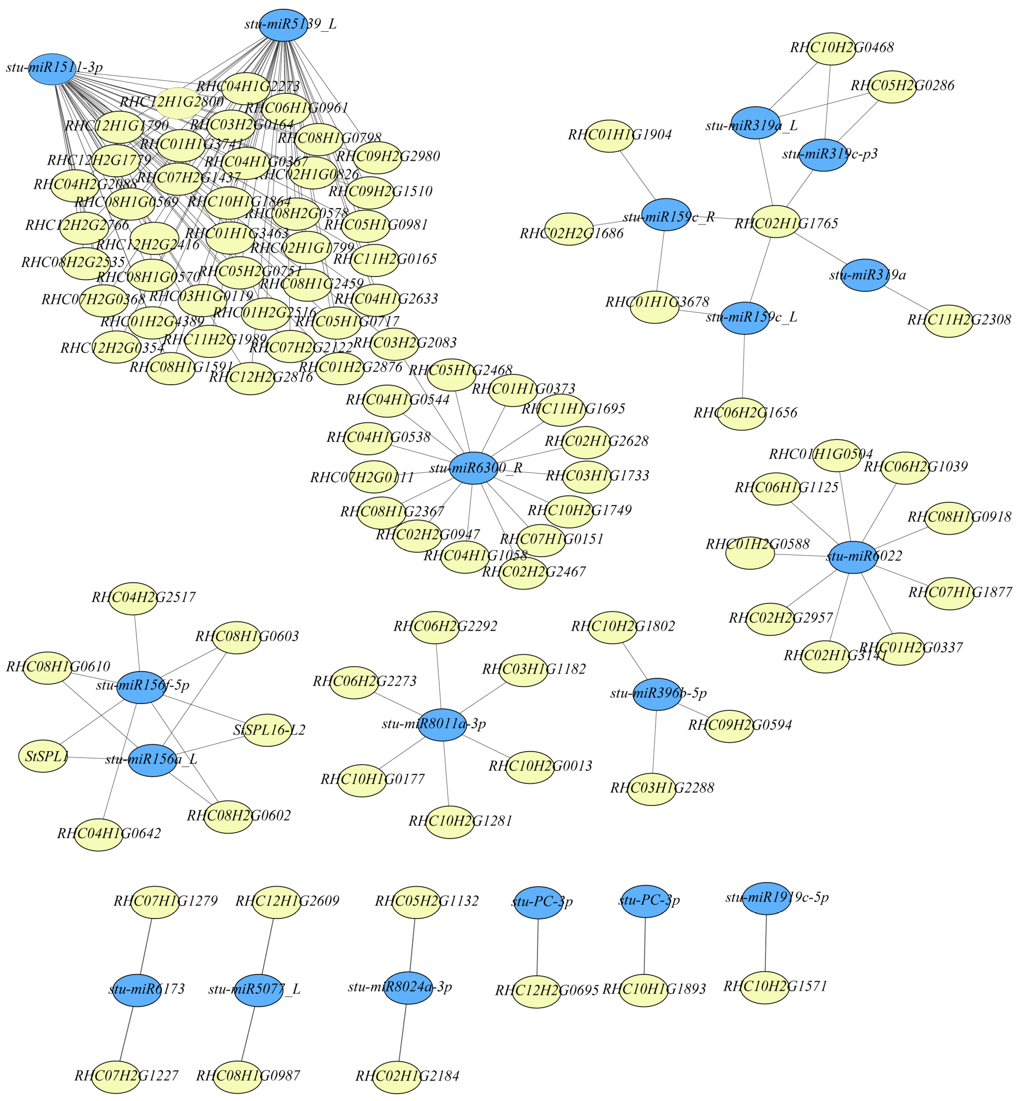 Plants 13 00998 g007