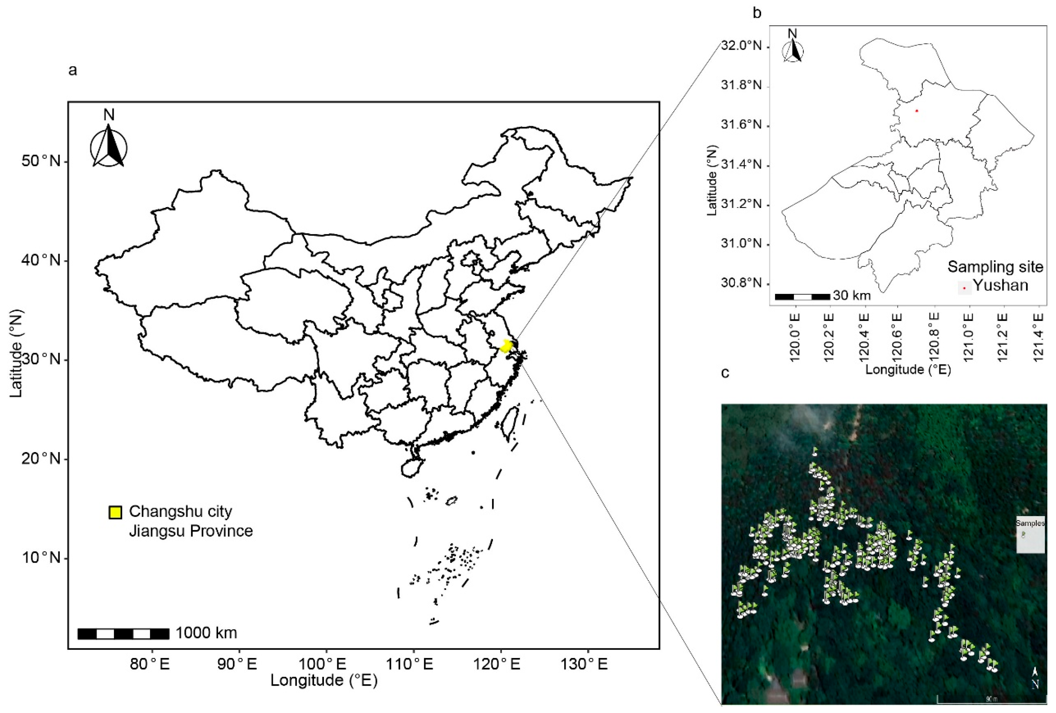 Plants 13 01000 g006 Plants 13 01000 g006