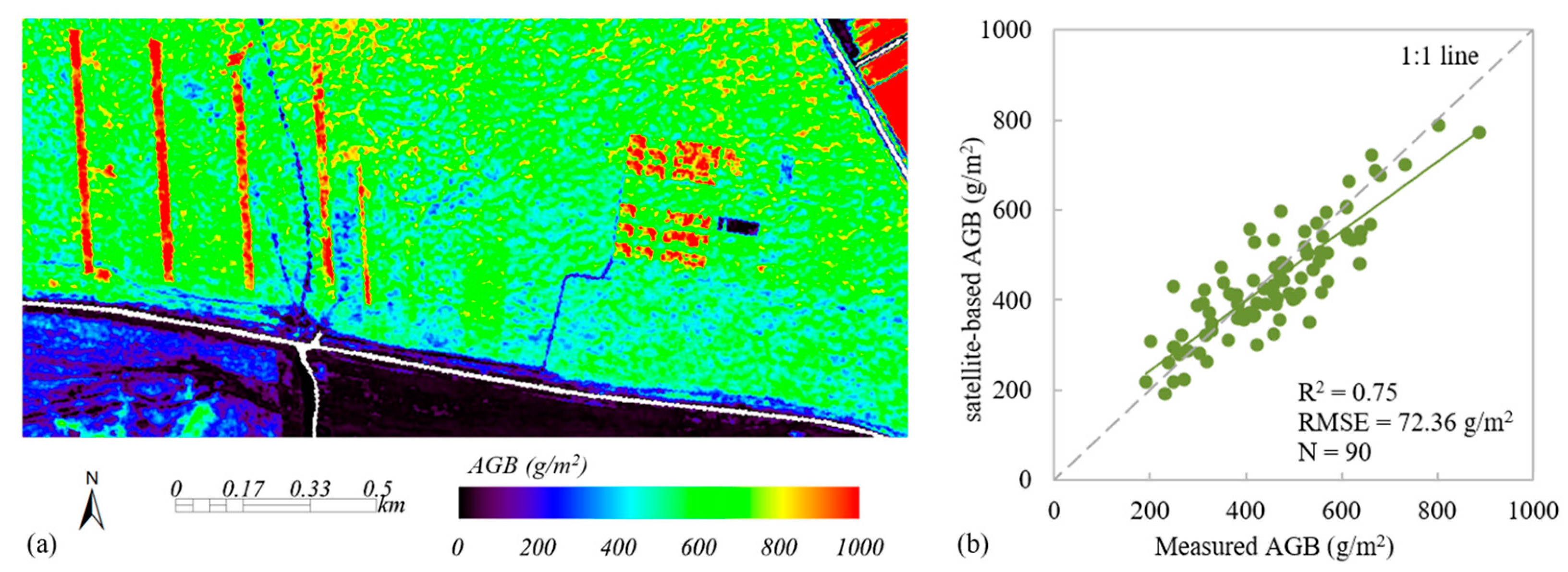 Plants 13 01006 g007