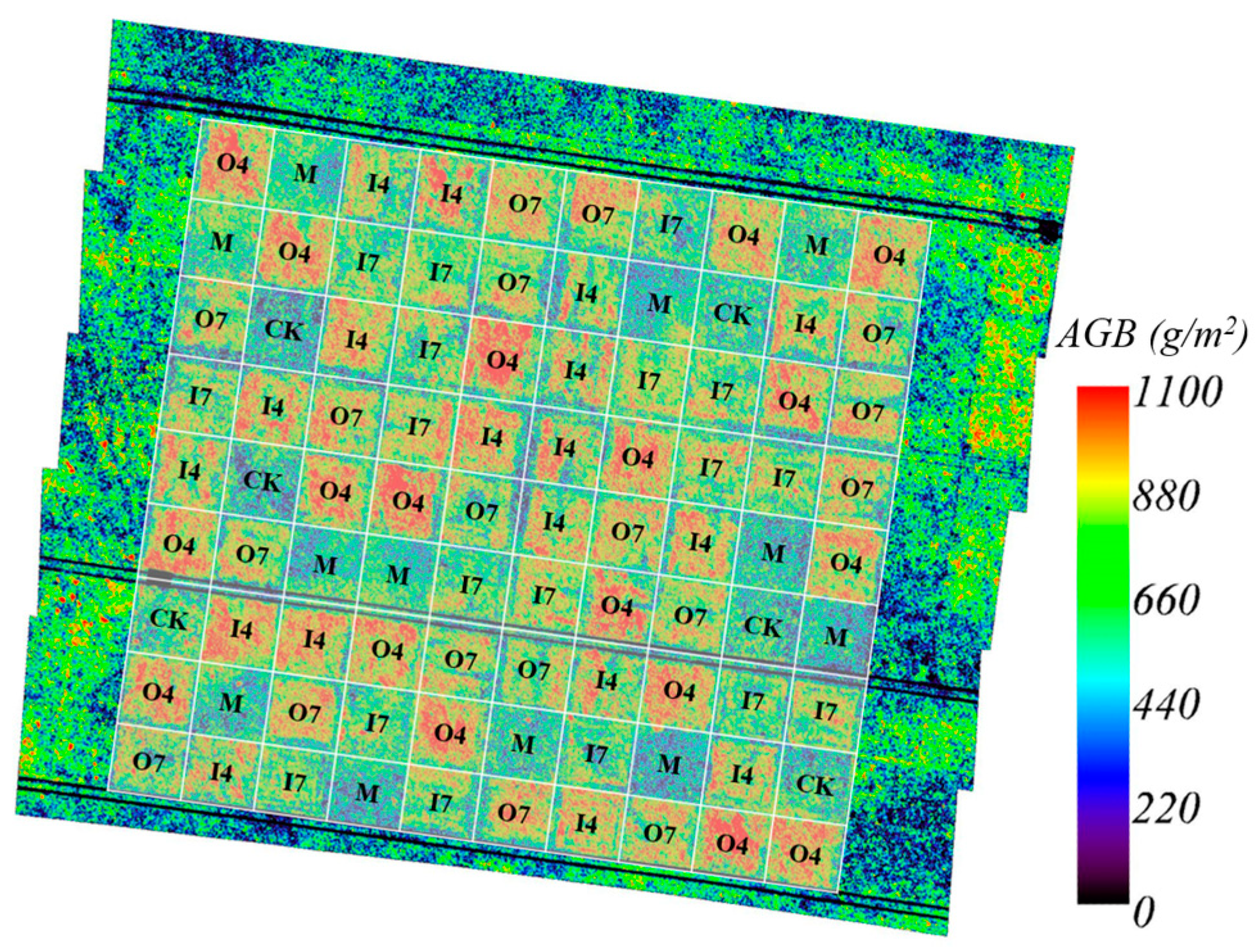 Plants 13 01006 g008